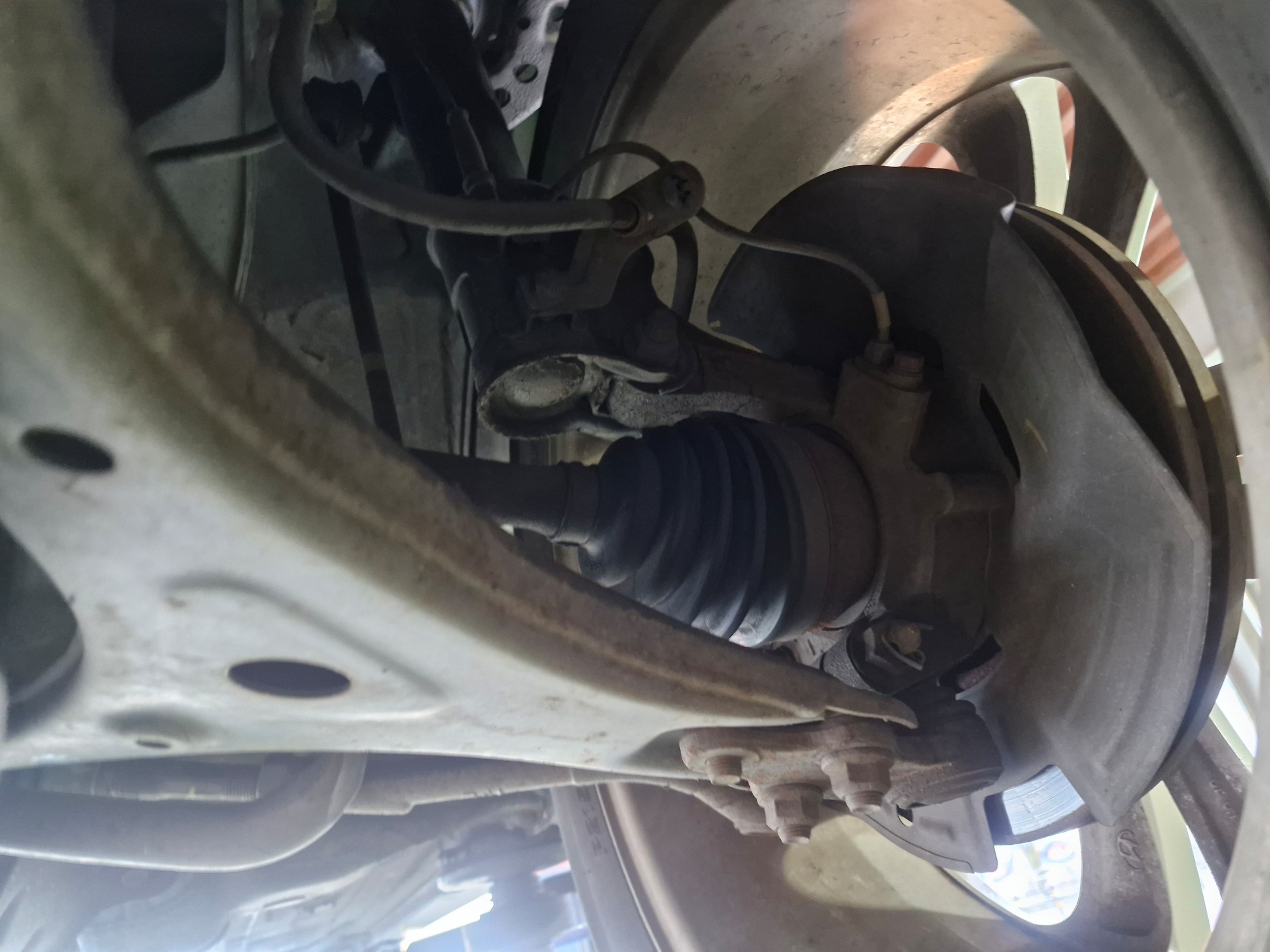 62062cb9555f84e6d4feed3bb154d241_1765512582_3152.jpg 62062cb9555f84e6d4feed3bb154d241_1765512582_3152.jpg