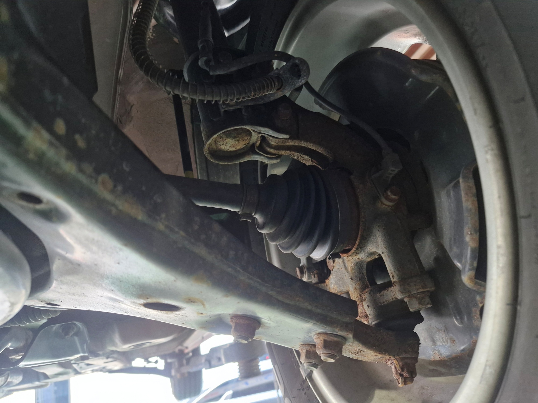 62062cb9555f84e6d4feed3bb154d241_1765518064_4078.jpg 62062cb9555f84e6d4feed3bb154d241_1765518064_4078.jpg