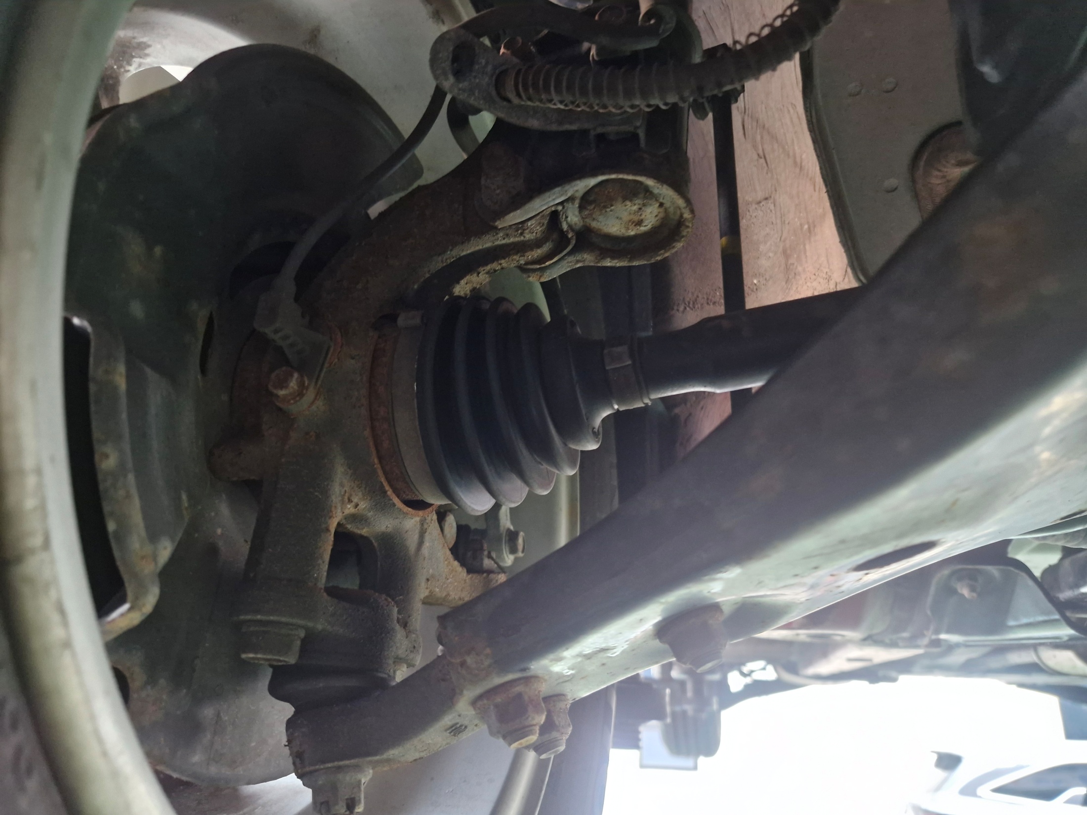 62062cb9555f84e6d4feed3bb154d241_1765518064_9161.jpg 62062cb9555f84e6d4feed3bb154d241_1765518064_9161.jpg