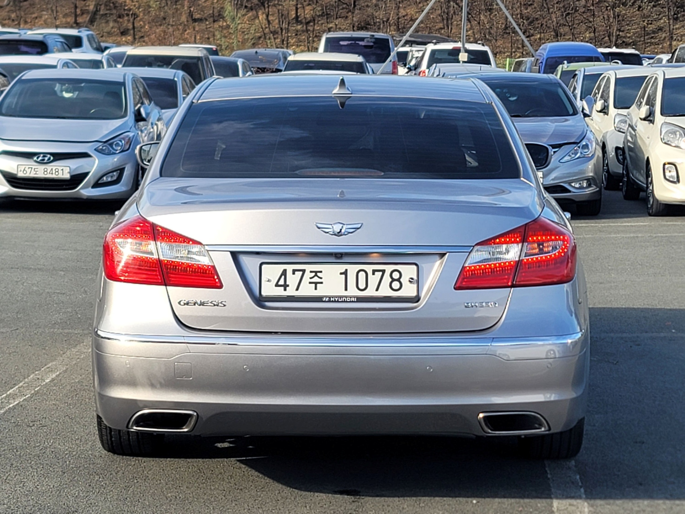 8bfe31f15d0b25467dae9adde46036e4_1765171842_7368.jpg 8bfe31f15d0b25467dae9adde46036e4_1765171842_7368.jpg