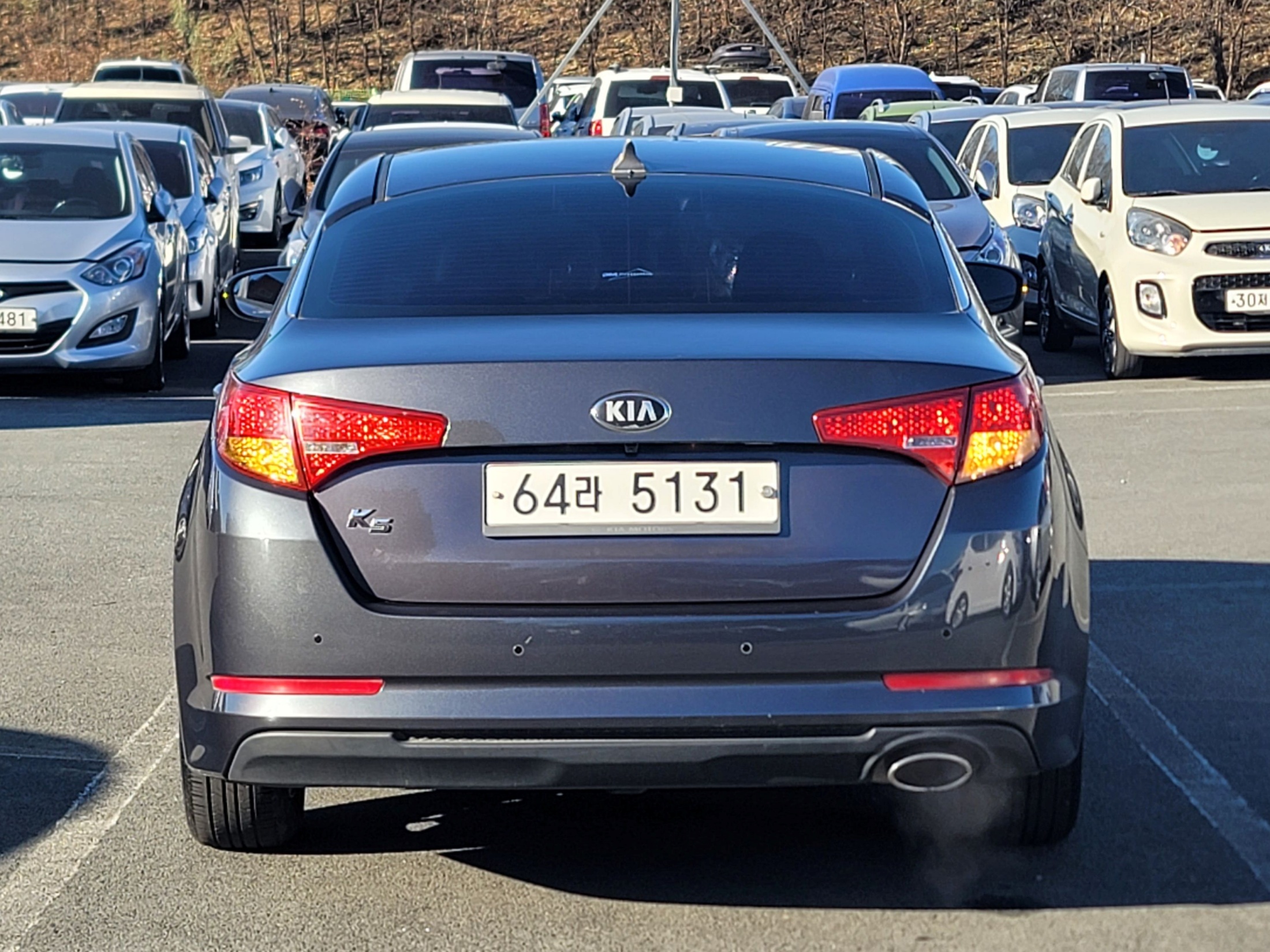 ce929236ddd239ca7c9c2dd877fde95f_1765343570_1703.jpg ce929236ddd239ca7c9c2dd877fde95f_1765343570_1703.jpg