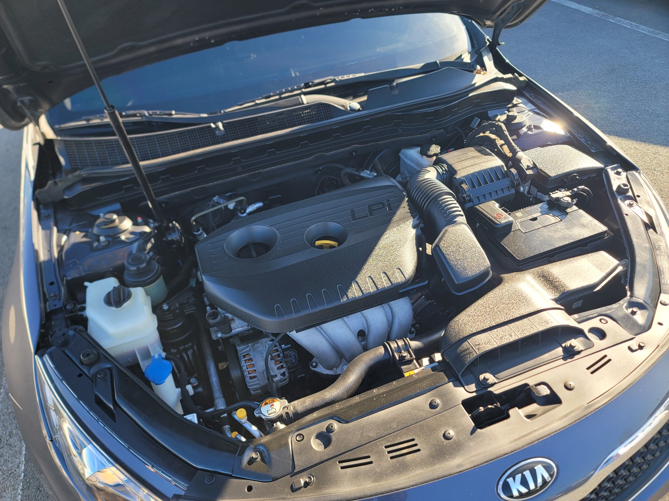 ce929236ddd239ca7c9c2dd877fde95f_1765343607_0788.jpg ce929236ddd239ca7c9c2dd877fde95f_1765343607_0788.jpg