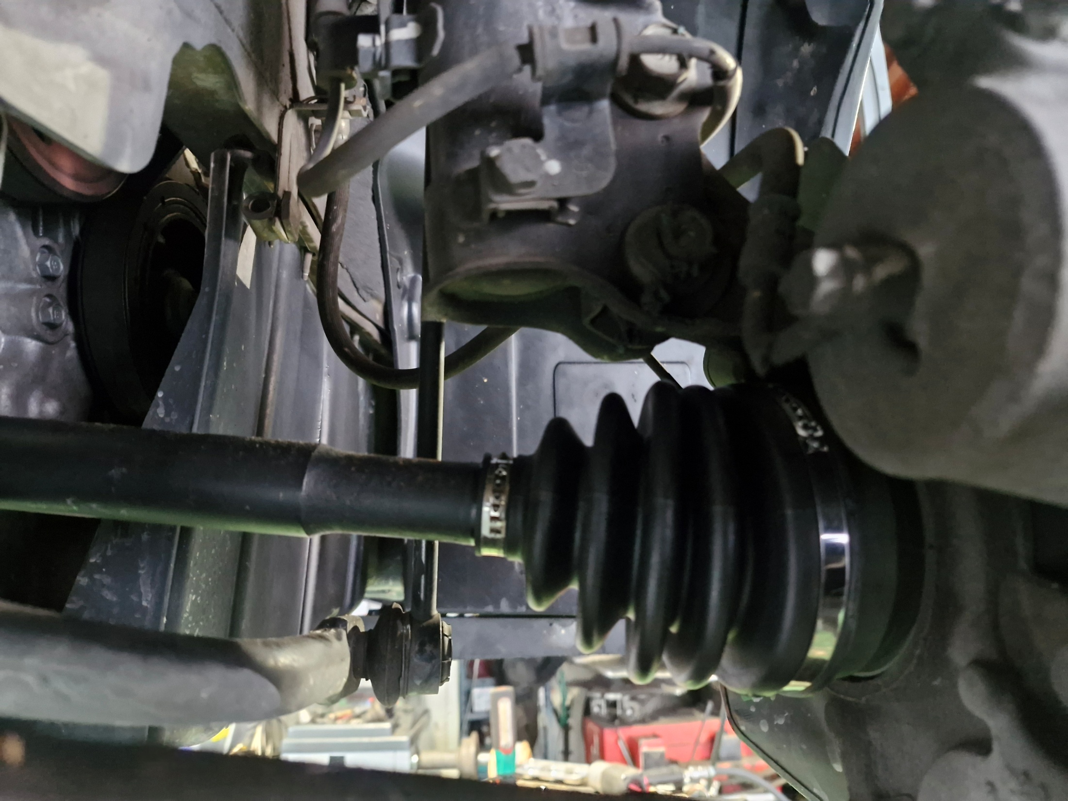 ce929236ddd239ca7c9c2dd877fde95f_1765343623_3108.jpg ce929236ddd239ca7c9c2dd877fde95f_1765343623_3108.jpg