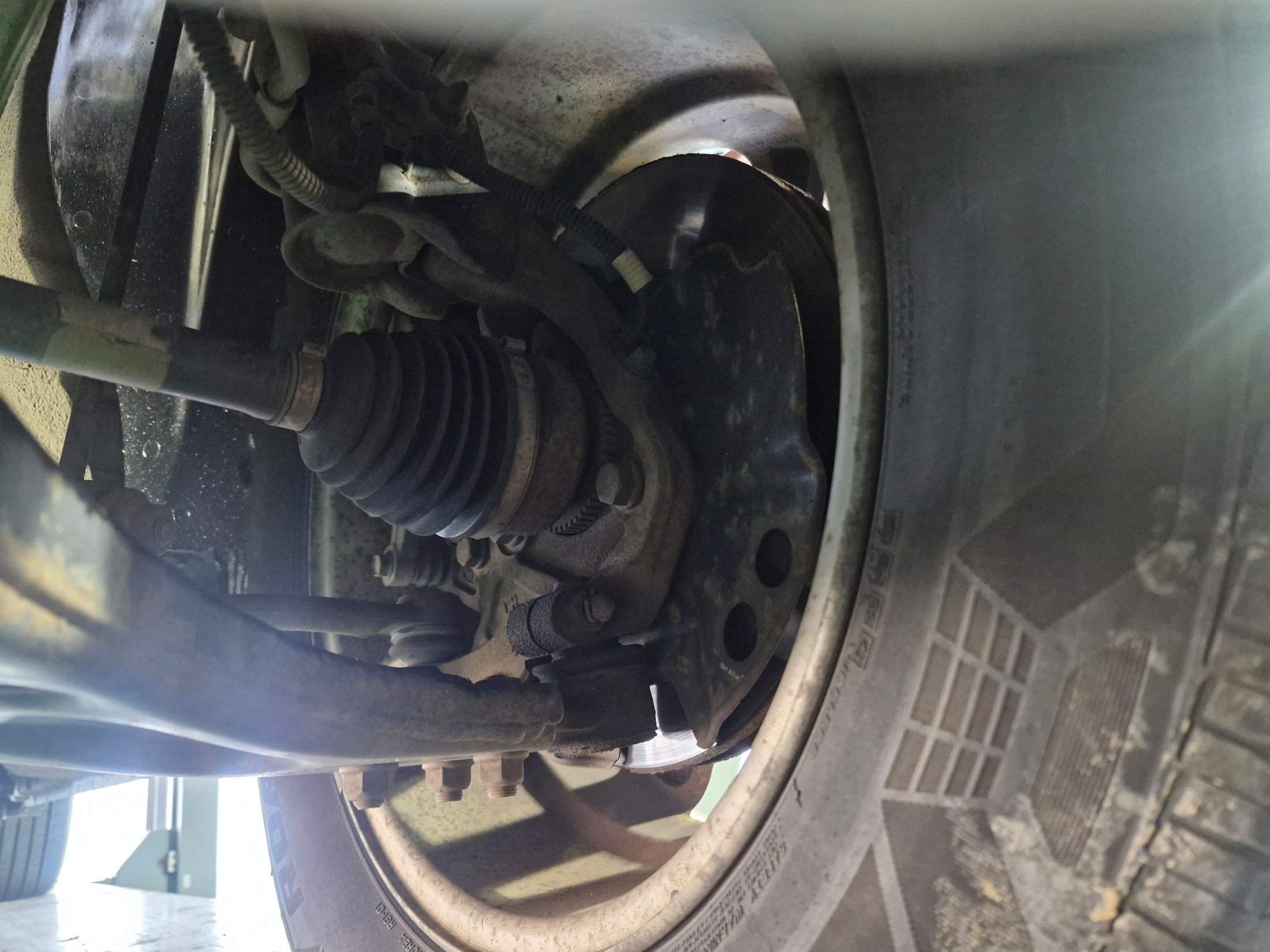 ce929236ddd239ca7c9c2dd877fde95f_1765353009_1367.jpg ce929236ddd239ca7c9c2dd877fde95f_1765353009_1367.jpg