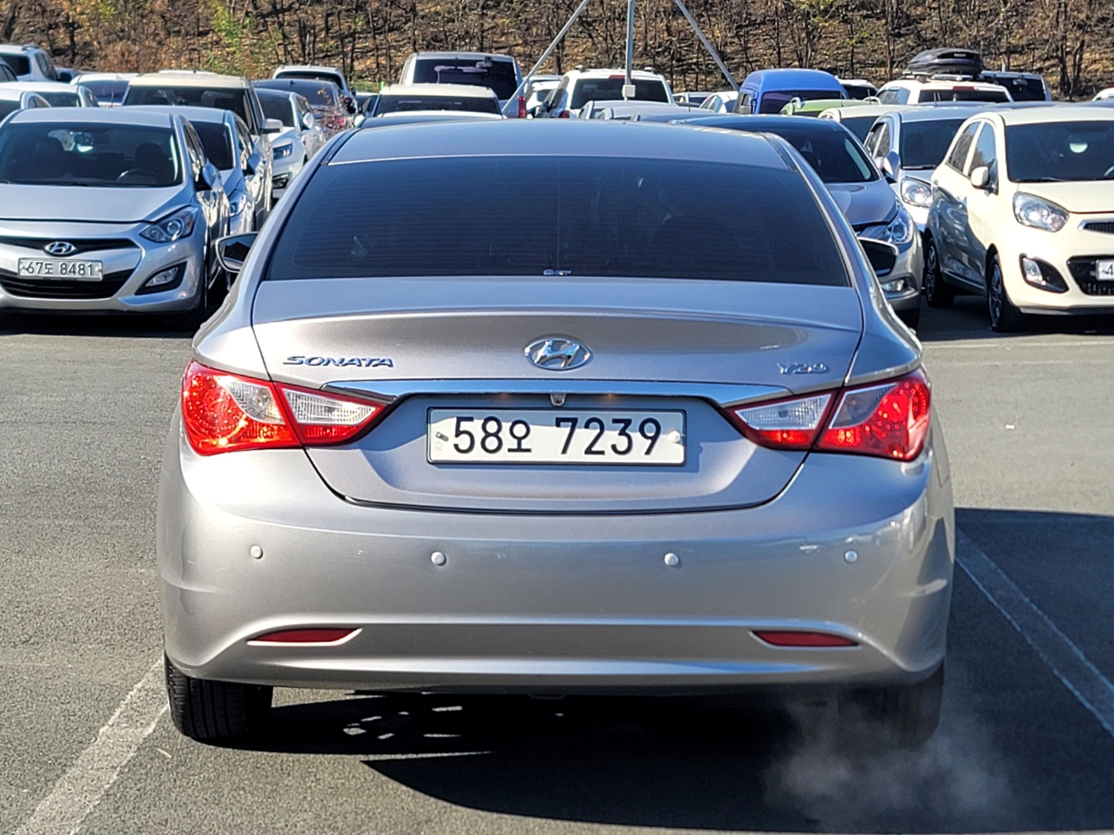 ce929236ddd239ca7c9c2dd877fde95f_1765354556_258.jpg ce929236ddd239ca7c9c2dd877fde95f_1765354556_258.jpg