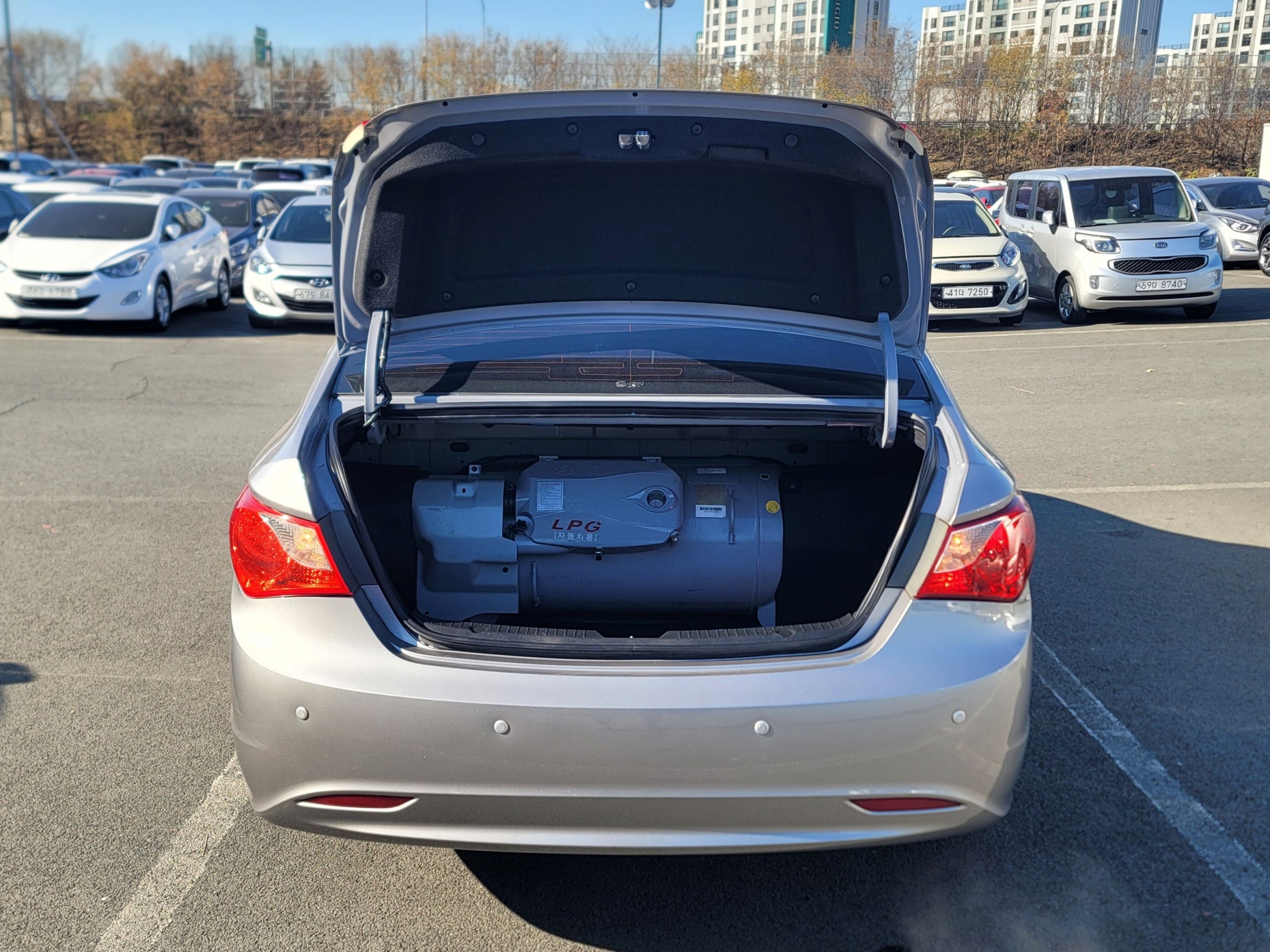 ce929236ddd239ca7c9c2dd877fde95f_1765354558_0258.jpg ce929236ddd239ca7c9c2dd877fde95f_1765354558_0258.jpg