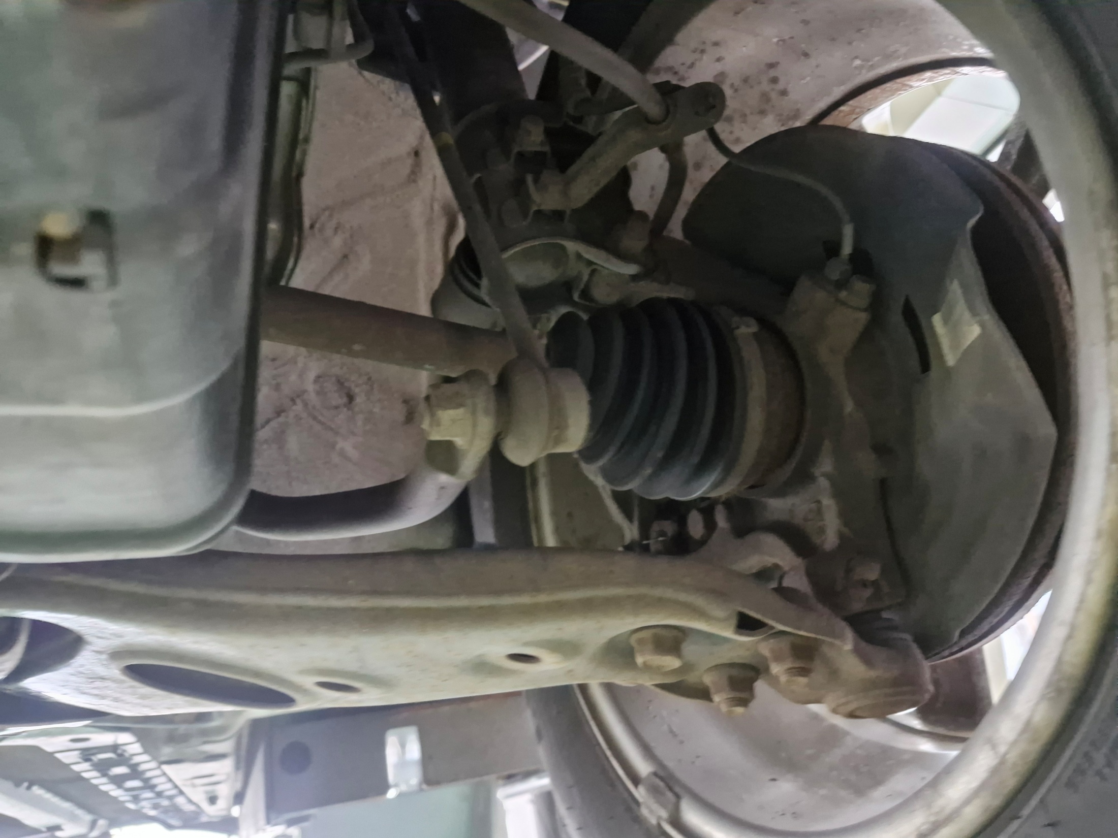 ce929236ddd239ca7c9c2dd877fde95f_1765354625_2551.jpg ce929236ddd239ca7c9c2dd877fde95f_1765354625_2551.jpg