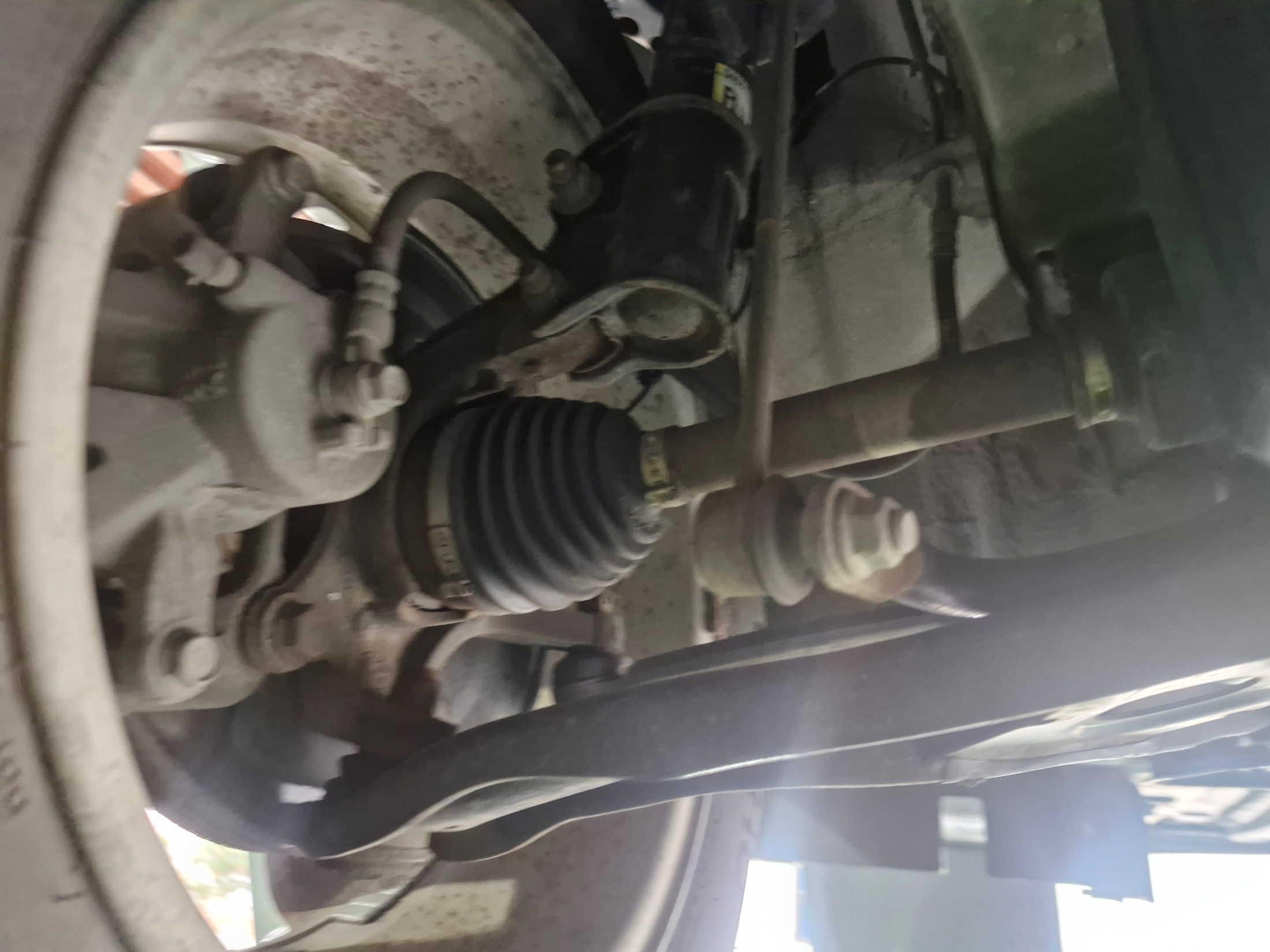 d362354a66c8428736385b973a3bf52d_1767147316_5664.jpg d362354a66c8428736385b973a3bf52d_1767147316_5664.jpg