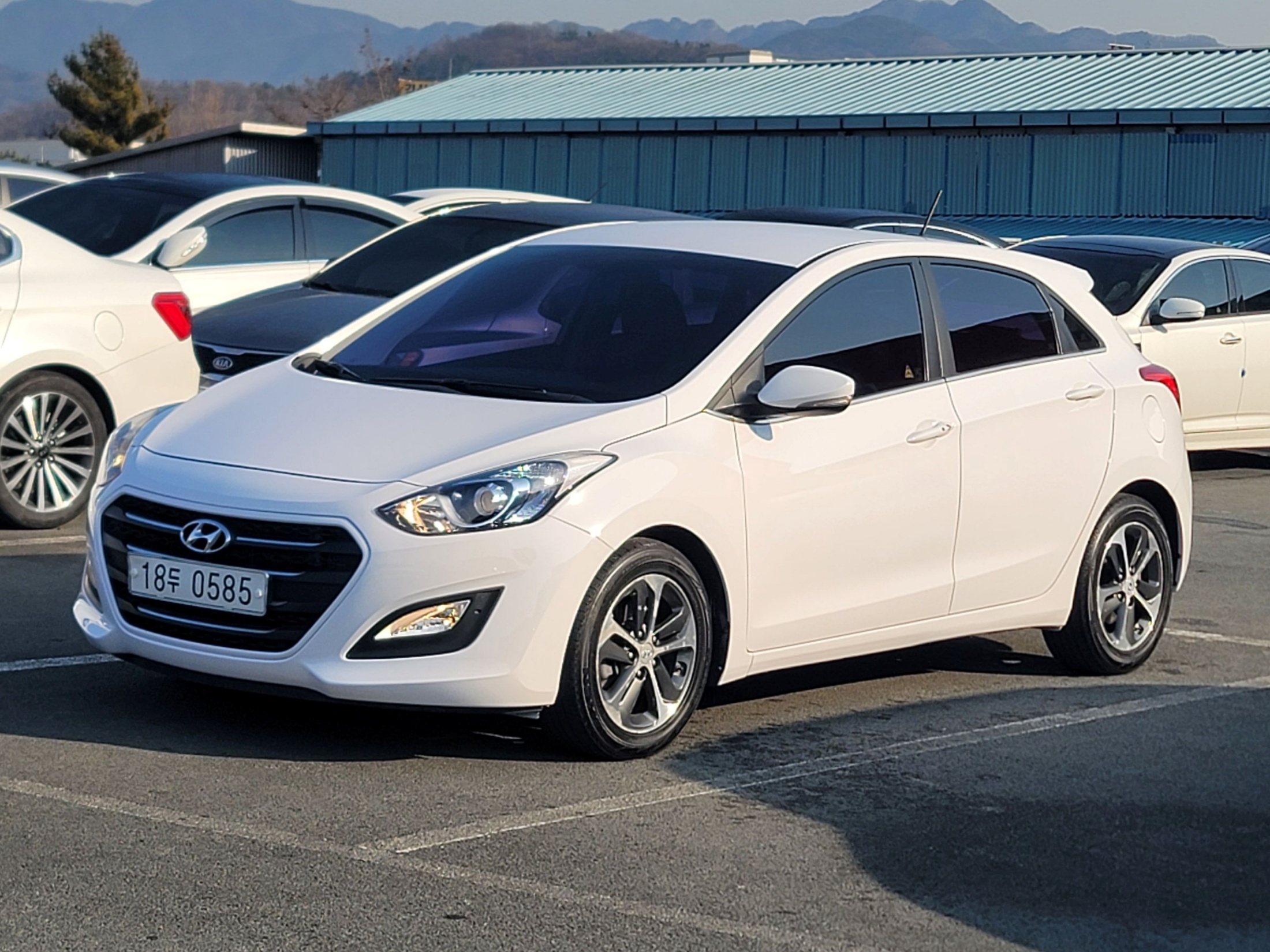 d62450473fe9fb7fc6eb22ebb0dbfcb5_1766977435_1986.jpg d62450473fe9fb7fc6eb22ebb0dbfcb5_1766977435_1986.jpg