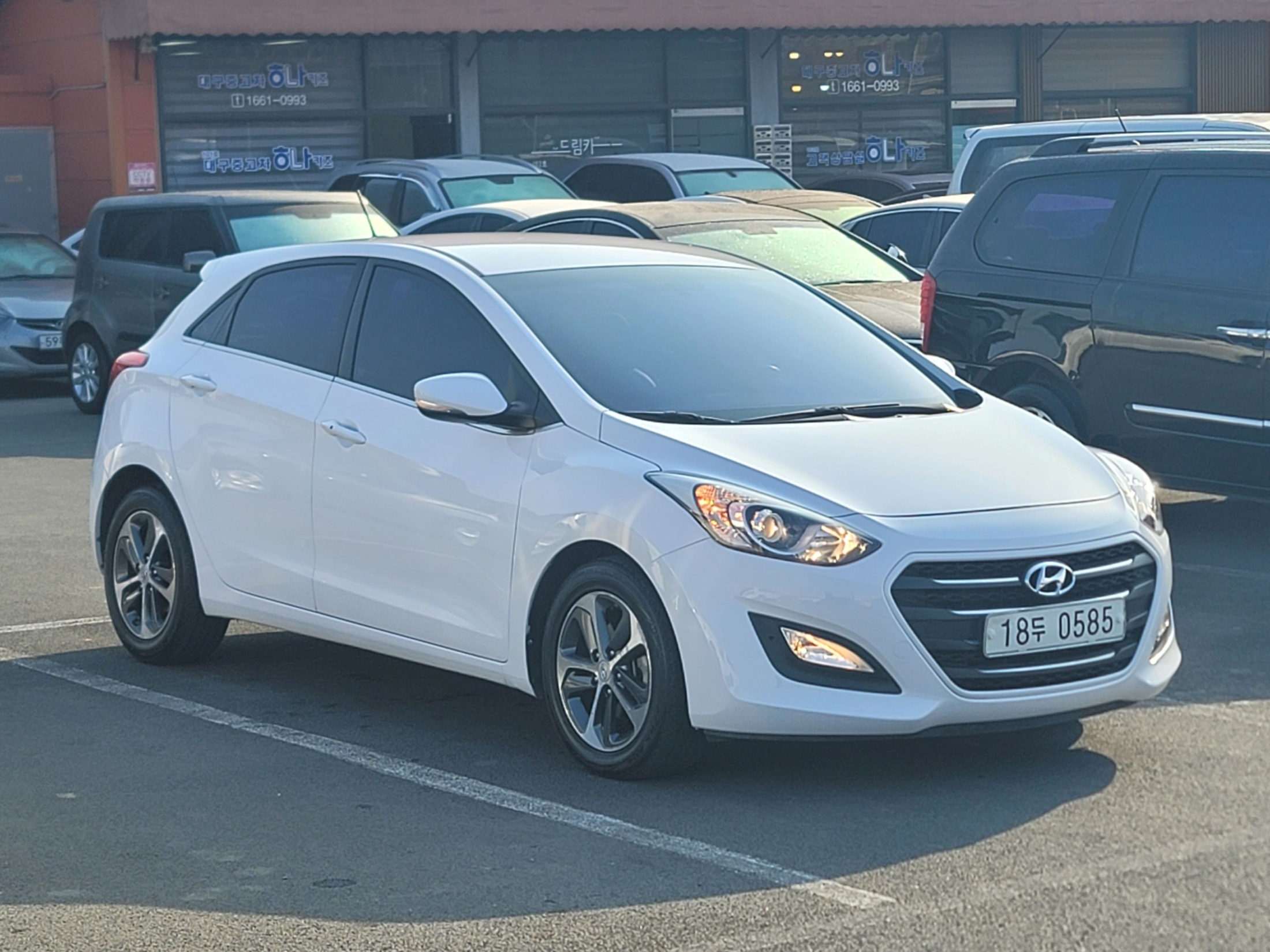 d62450473fe9fb7fc6eb22ebb0dbfcb5_1766977435_7033.jpg d62450473fe9fb7fc6eb22ebb0dbfcb5_1766977435_7033.jpg