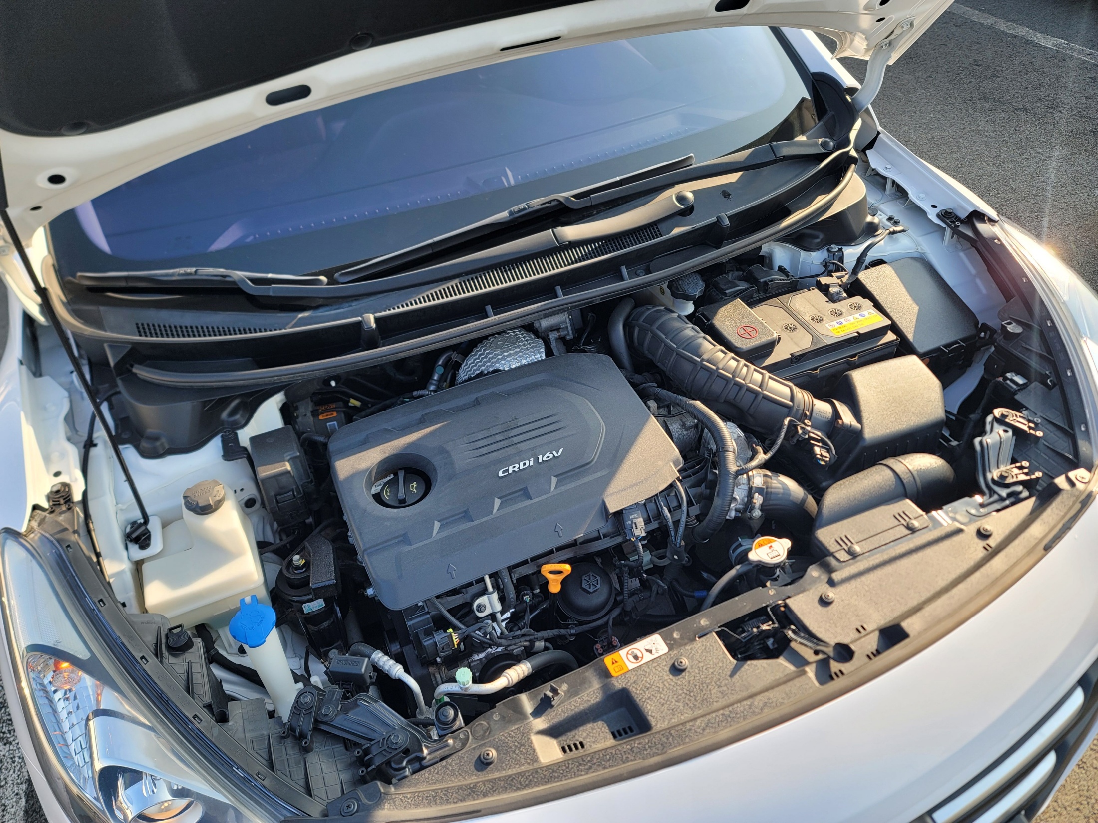 d62450473fe9fb7fc6eb22ebb0dbfcb5_1766977481_9762.jpg d62450473fe9fb7fc6eb22ebb0dbfcb5_1766977481_9762.jpg