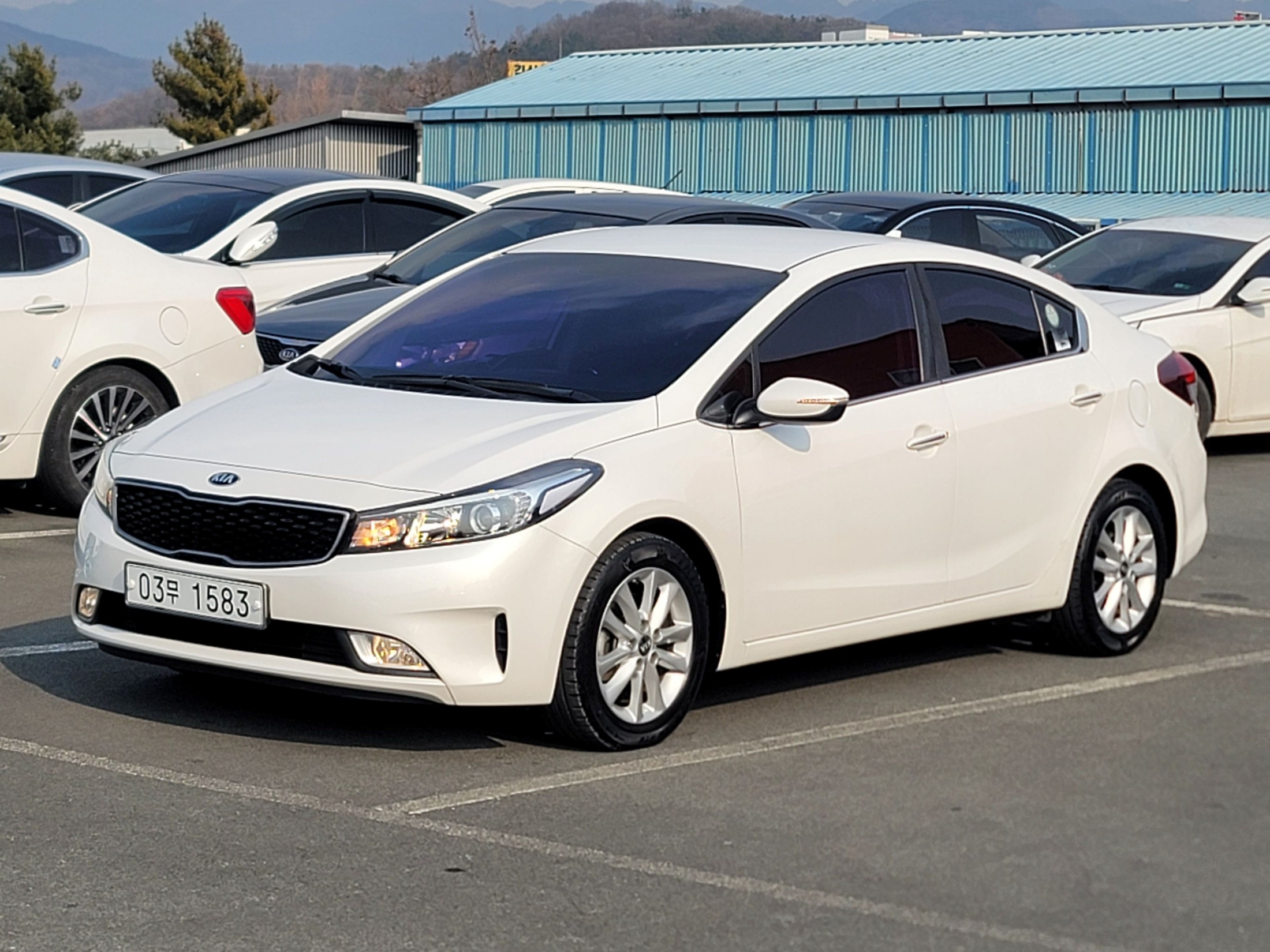 d62450473fe9fb7fc6eb22ebb0dbfcb5_1766987683_5107.jpg d62450473fe9fb7fc6eb22ebb0dbfcb5_1766987683_5107.jpg