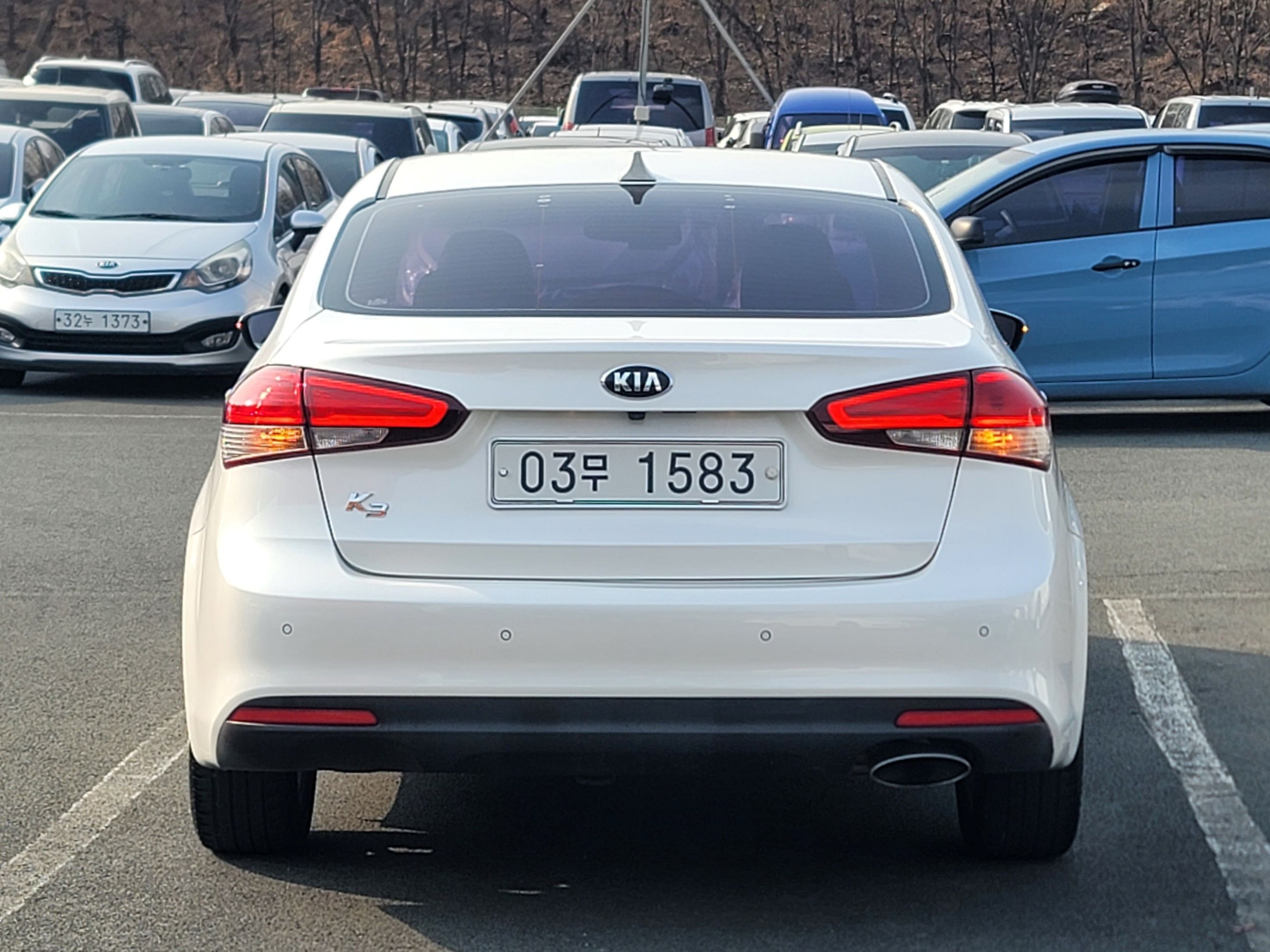 d62450473fe9fb7fc6eb22ebb0dbfcb5_1766987684_6763.jpg d62450473fe9fb7fc6eb22ebb0dbfcb5_1766987684_6763.jpg