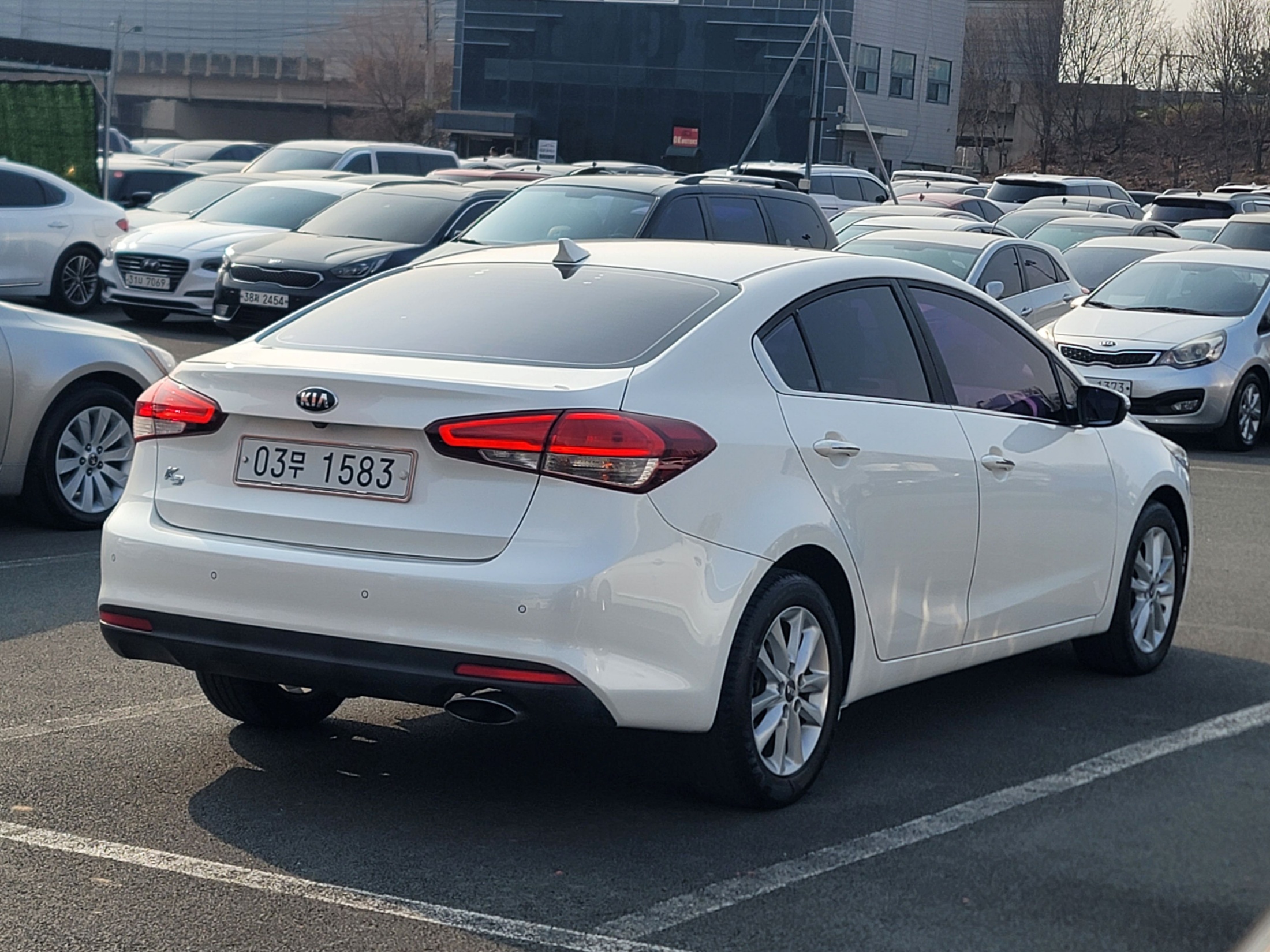 d62450473fe9fb7fc6eb22ebb0dbfcb5_1766987685_5699.jpg d62450473fe9fb7fc6eb22ebb0dbfcb5_1766987685_5699.jpg