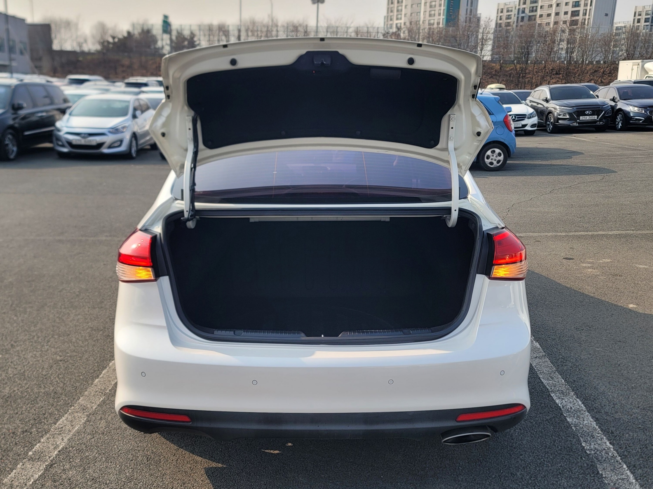 d62450473fe9fb7fc6eb22ebb0dbfcb5_1766987686_4085.jpg d62450473fe9fb7fc6eb22ebb0dbfcb5_1766987686_4085.jpg