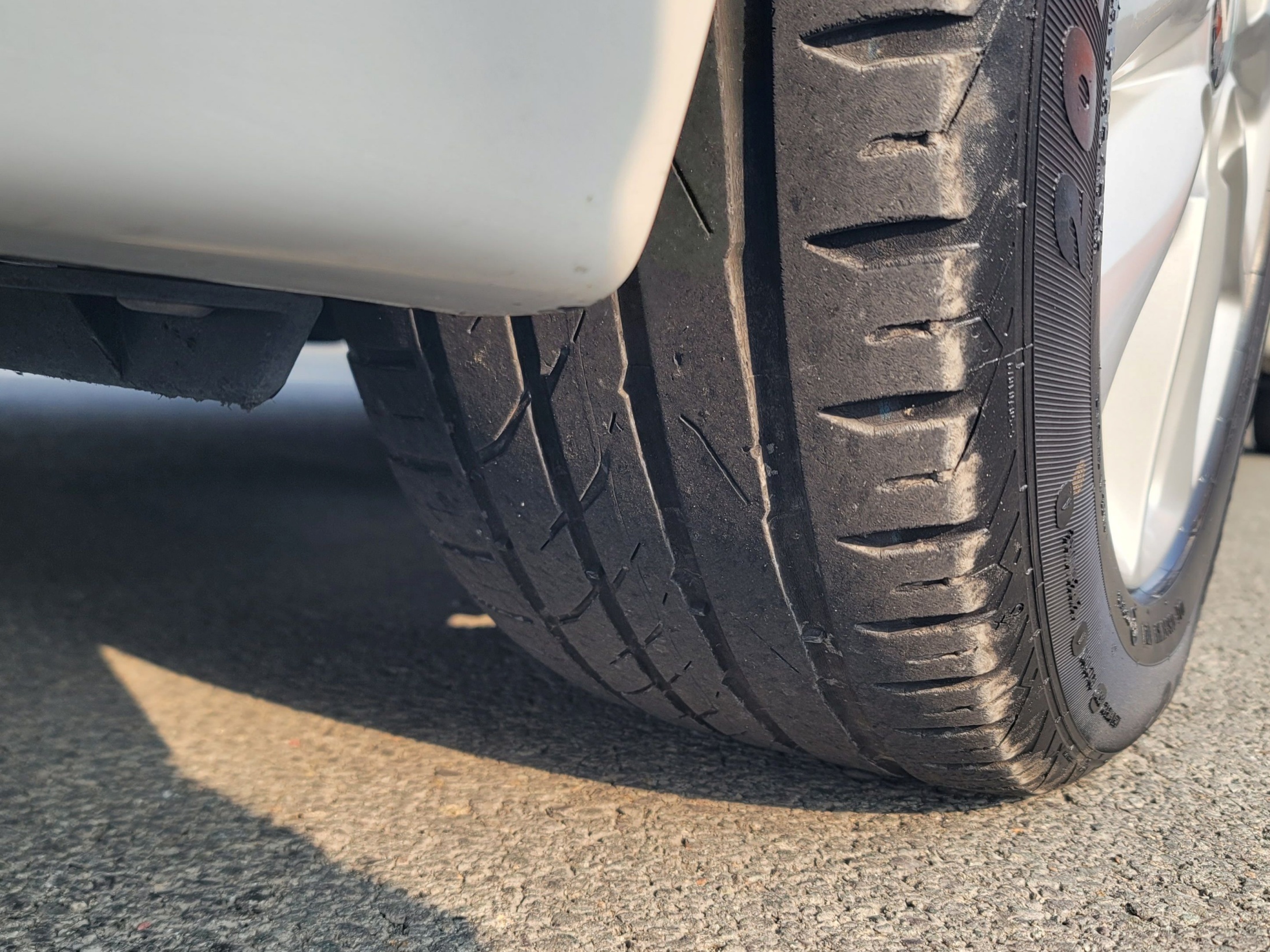 d62450473fe9fb7fc6eb22ebb0dbfcb5_1766987737_2395.jpg d62450473fe9fb7fc6eb22ebb0dbfcb5_1766987737_2395.jpg