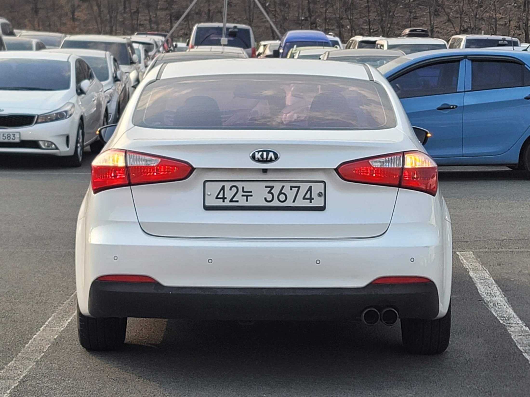 d62450473fe9fb7fc6eb22ebb0dbfcb5_1766995658_9173.jpg d62450473fe9fb7fc6eb22ebb0dbfcb5_1766995658_9173.jpg