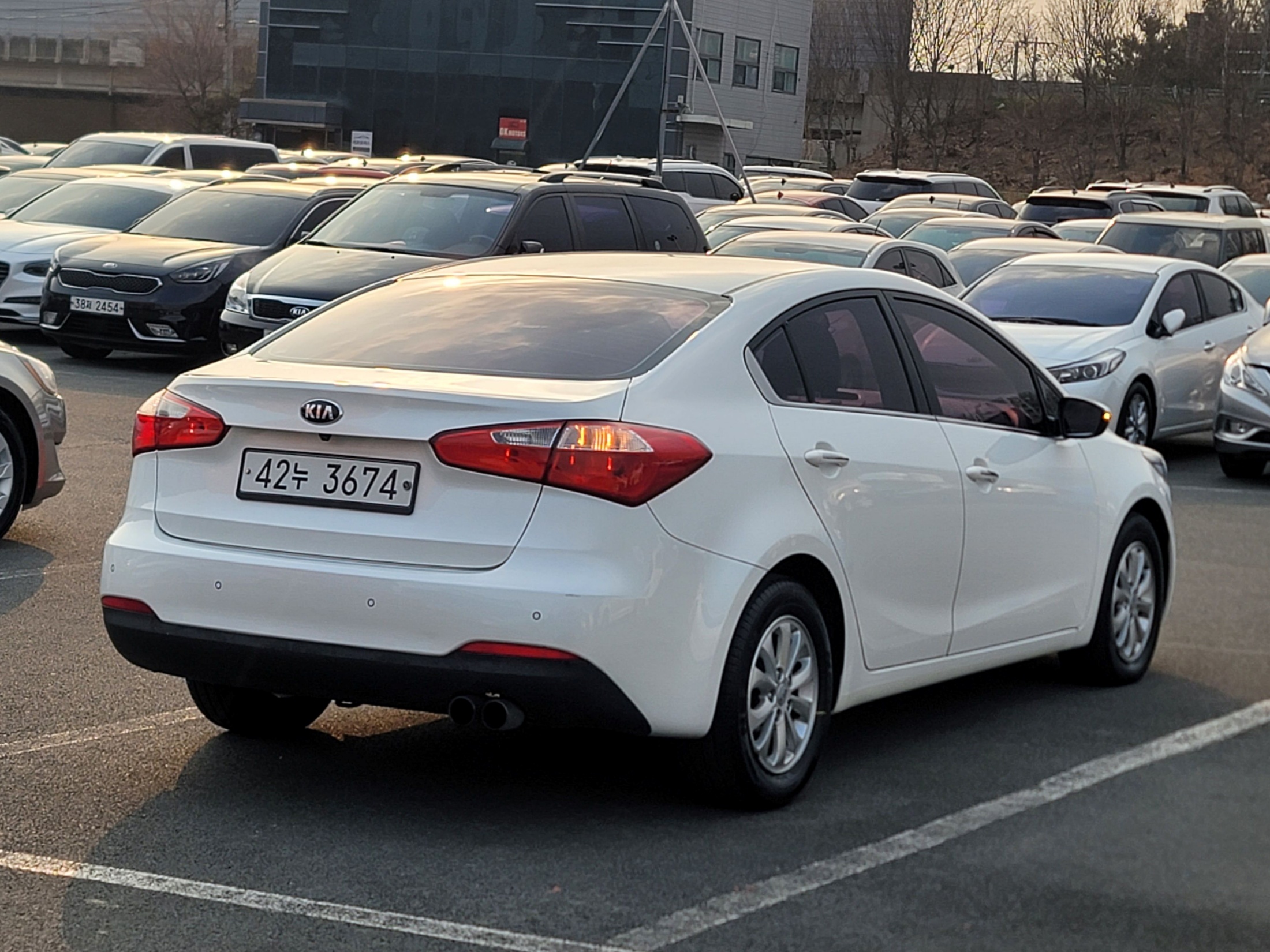 d62450473fe9fb7fc6eb22ebb0dbfcb5_1766995659_4719.jpg d62450473fe9fb7fc6eb22ebb0dbfcb5_1766995659_4719.jpg