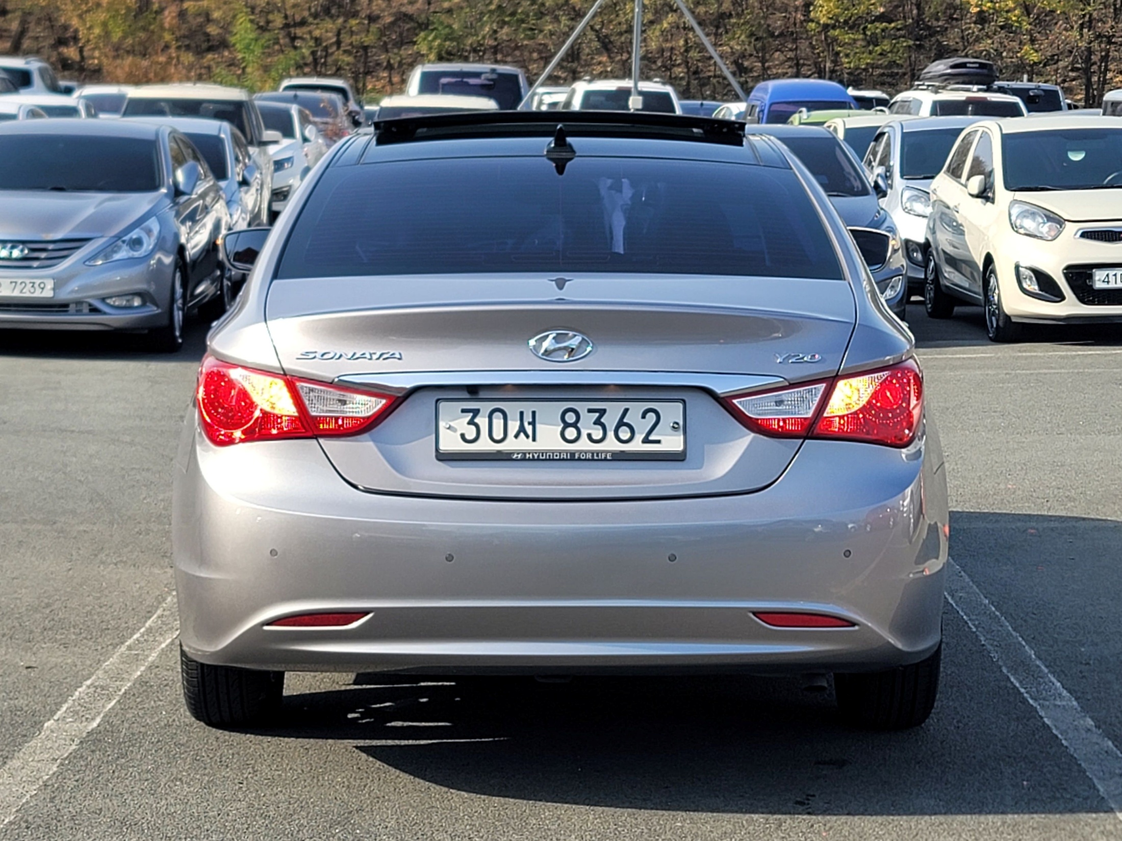 dd72b3d9e4ea0db8fdbff89bab0bc91f_1764733784_3944.jpg dd72b3d9e4ea0db8fdbff89bab0bc91f_1764733784_3944.jpg