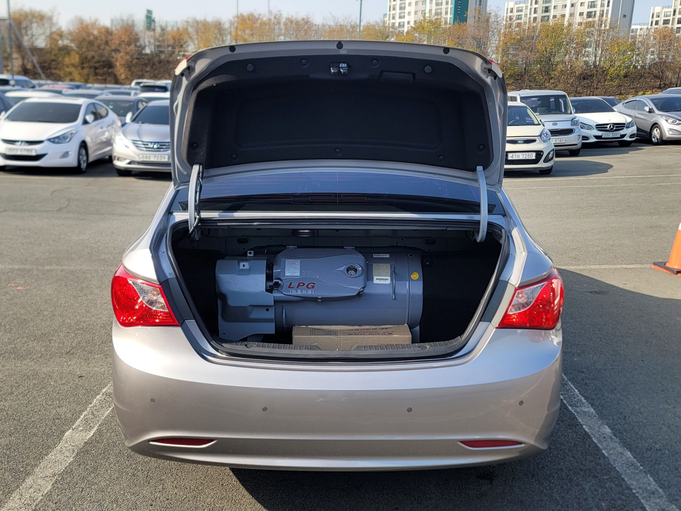 dd72b3d9e4ea0db8fdbff89bab0bc91f_1764733786_234.jpg dd72b3d9e4ea0db8fdbff89bab0bc91f_1764733786_234.jpg