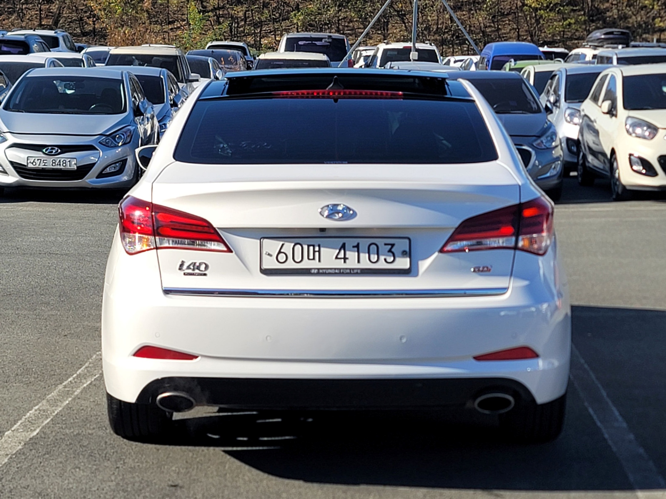 dd72b3d9e4ea0db8fdbff89bab0bc91f_1764734465_2829.jpg dd72b3d9e4ea0db8fdbff89bab0bc91f_1764734465_2829.jpg