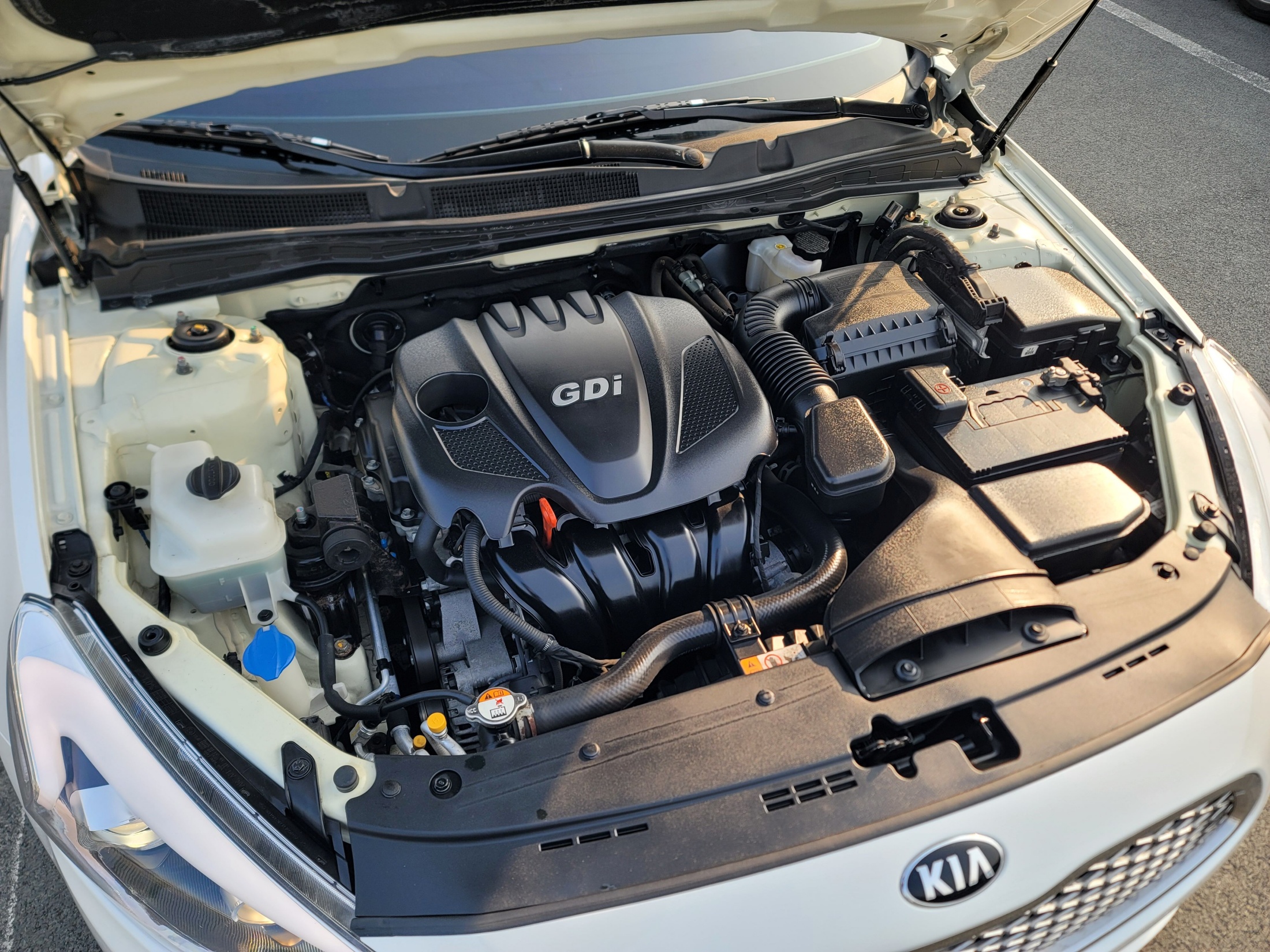 1b039da8af3cd3dc34b817a85eccc1c5_1768465036_3834.jpg 1b039da8af3cd3dc34b817a85eccc1c5_1768465036_3834.jpg