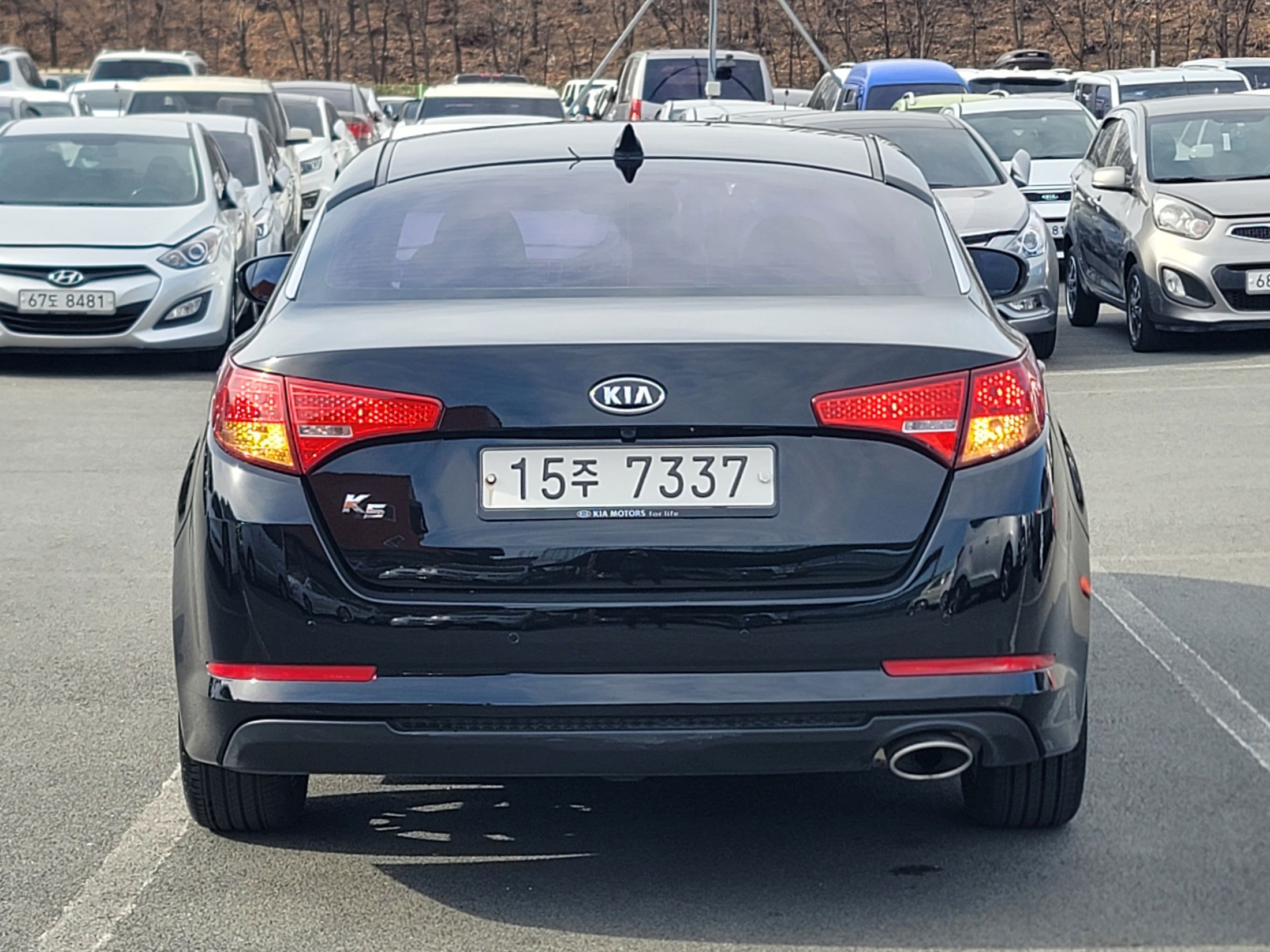 1b039da8af3cd3dc34b817a85eccc1c5_1768465137_4856.jpg 1b039da8af3cd3dc34b817a85eccc1c5_1768465137_4856.jpg