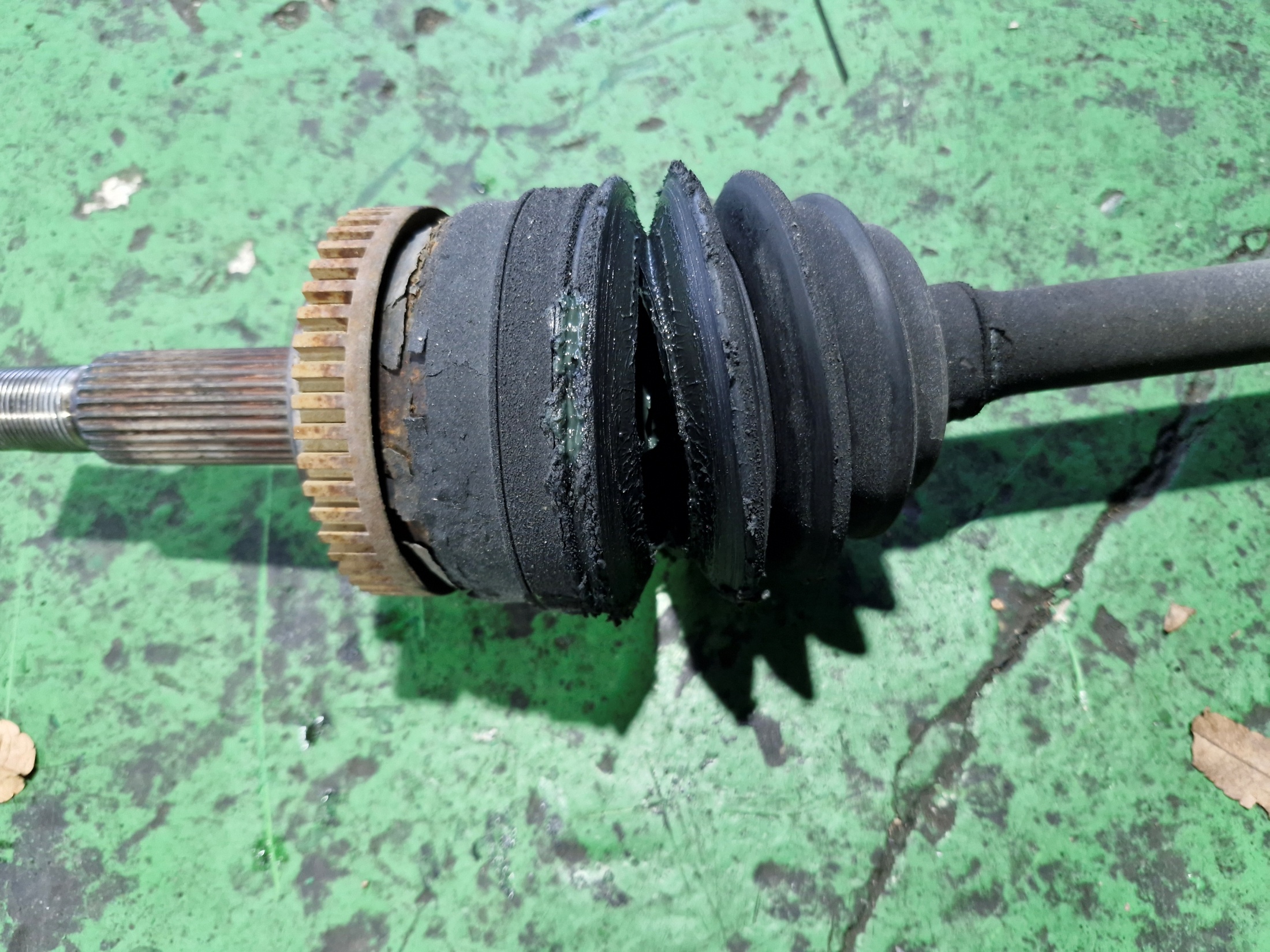 1b039da8af3cd3dc34b817a85eccc1c5_1768465225_8181.jpg 1b039da8af3cd3dc34b817a85eccc1c5_1768465225_8181.jpg