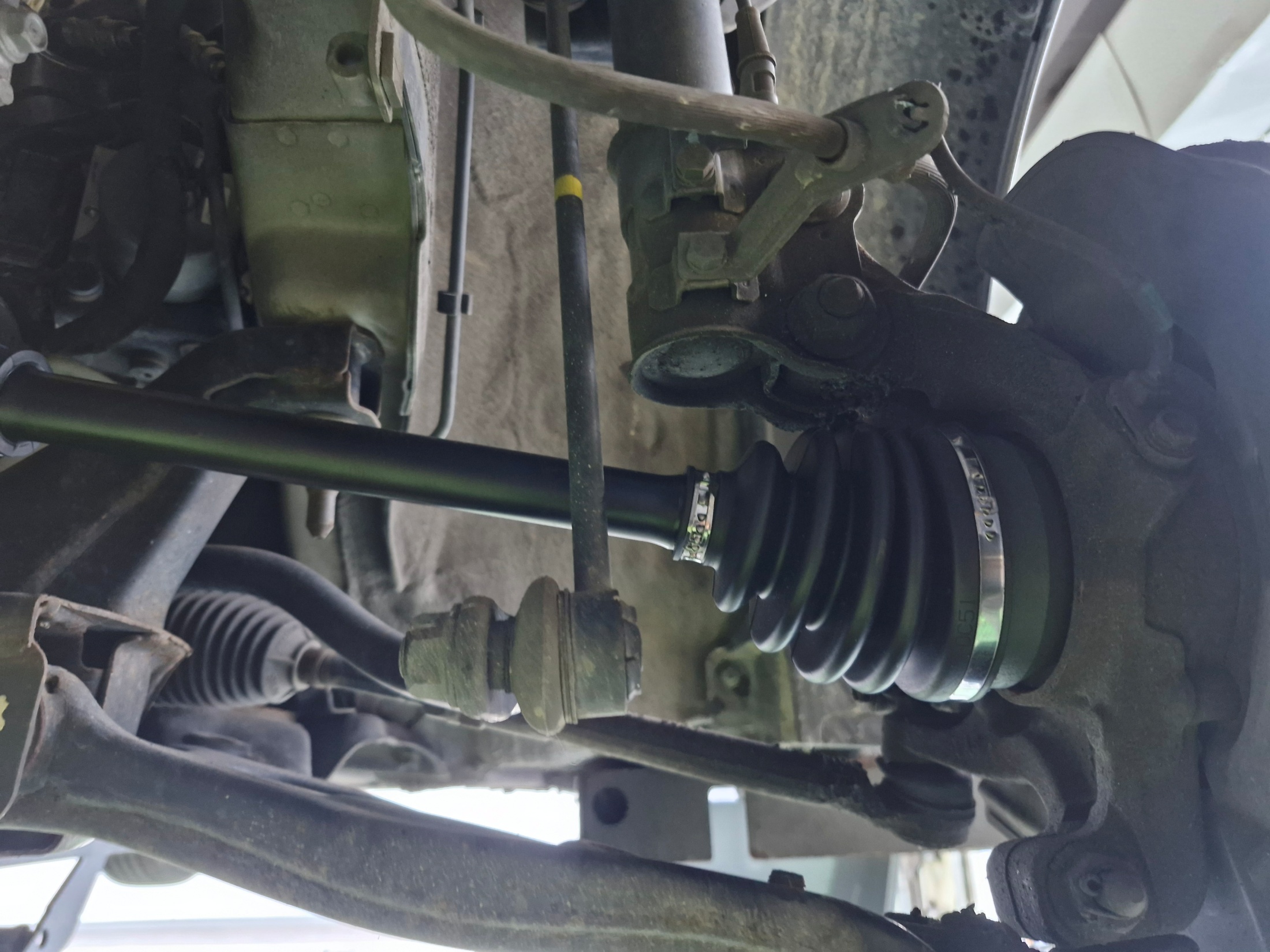 1b039da8af3cd3dc34b817a85eccc1c5_1768465226_6032.jpg 1b039da8af3cd3dc34b817a85eccc1c5_1768465226_6032.jpg