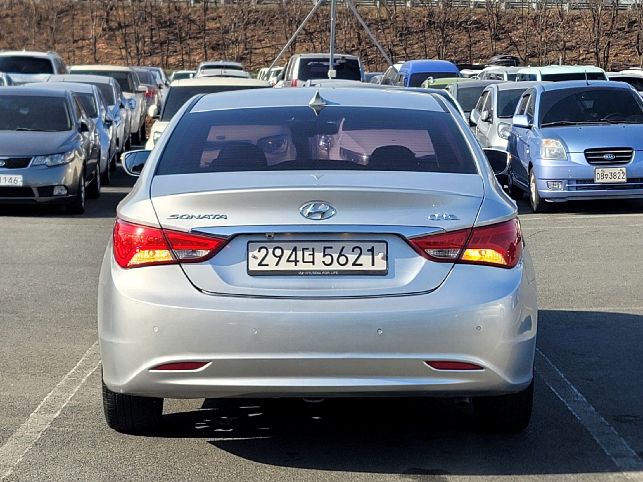 2d1b8588eb9419acdedea2529aa9b105_1768534381_4112.jpg 2d1b8588eb9419acdedea2529aa9b105_1768534381_4112.jpg