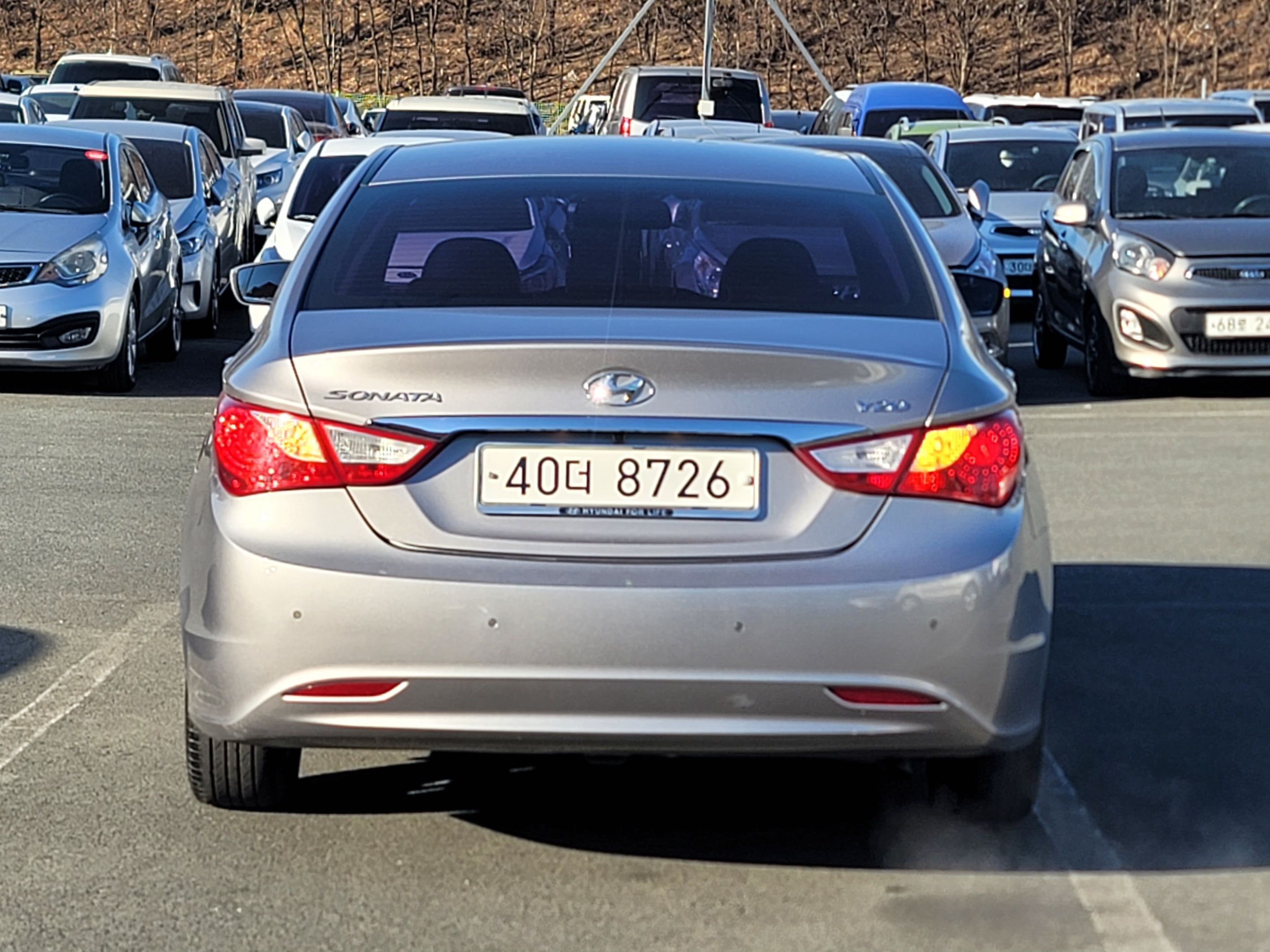 672943dd95b202e827f0a1cda002d813_1767665298_0569.jpg 672943dd95b202e827f0a1cda002d813_1767665298_0569.jpg