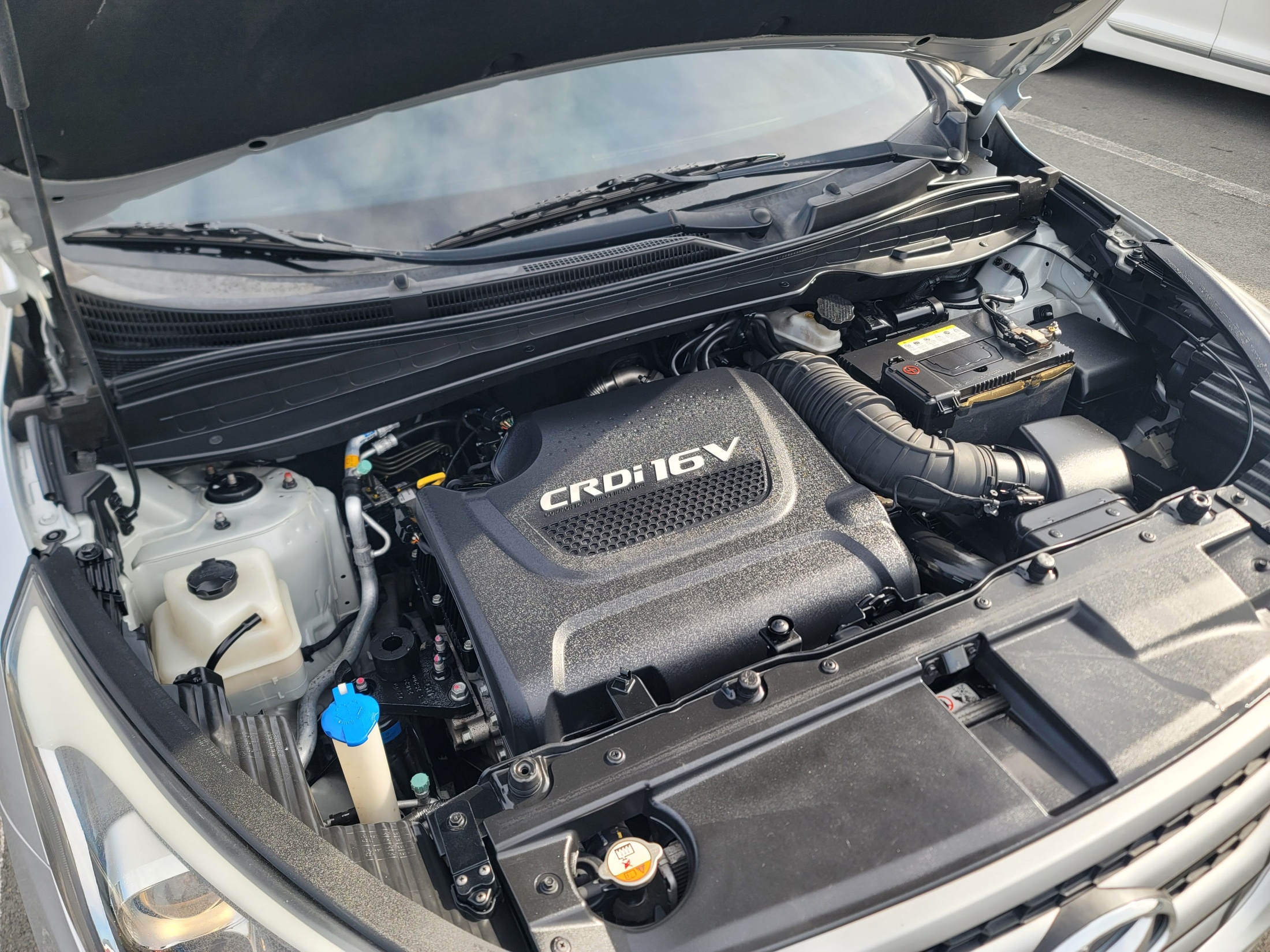 bcbb9d5157b84cd2a07bd0c204481183_1768271559_7029.jpg bcbb9d5157b84cd2a07bd0c204481183_1768271559_7029.jpg