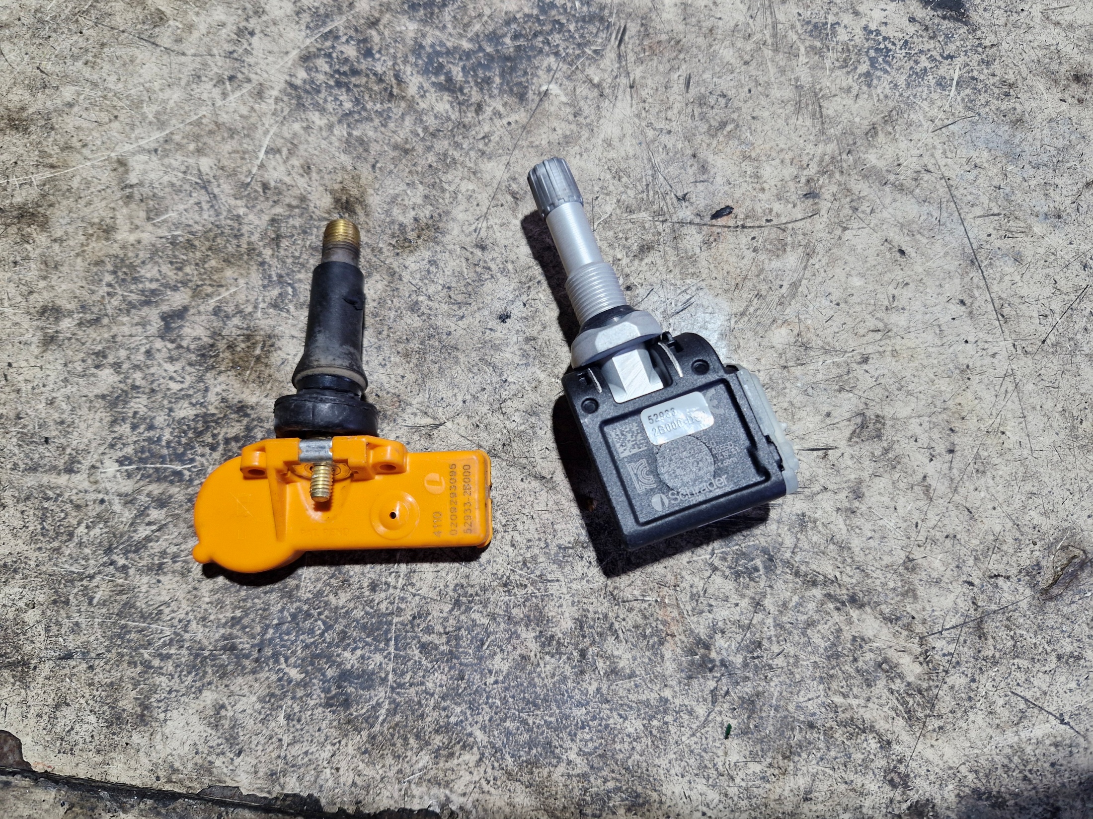 0383dcef5efd2a65cb815c595354a590_1770703174_2855.jpg 0383dcef5efd2a65cb815c595354a590_1770703174_2855.jpg