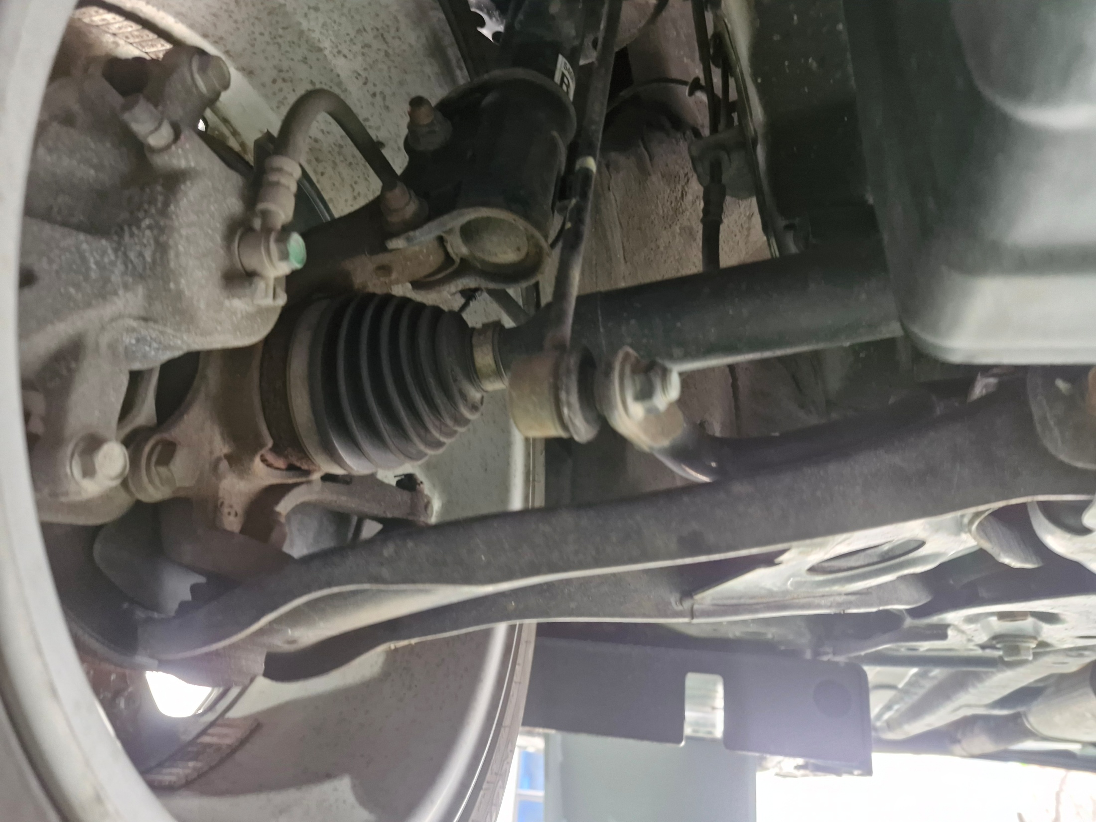 0383dcef5efd2a65cb815c595354a590_1770703189_0538.jpg 0383dcef5efd2a65cb815c595354a590_1770703189_0538.jpg