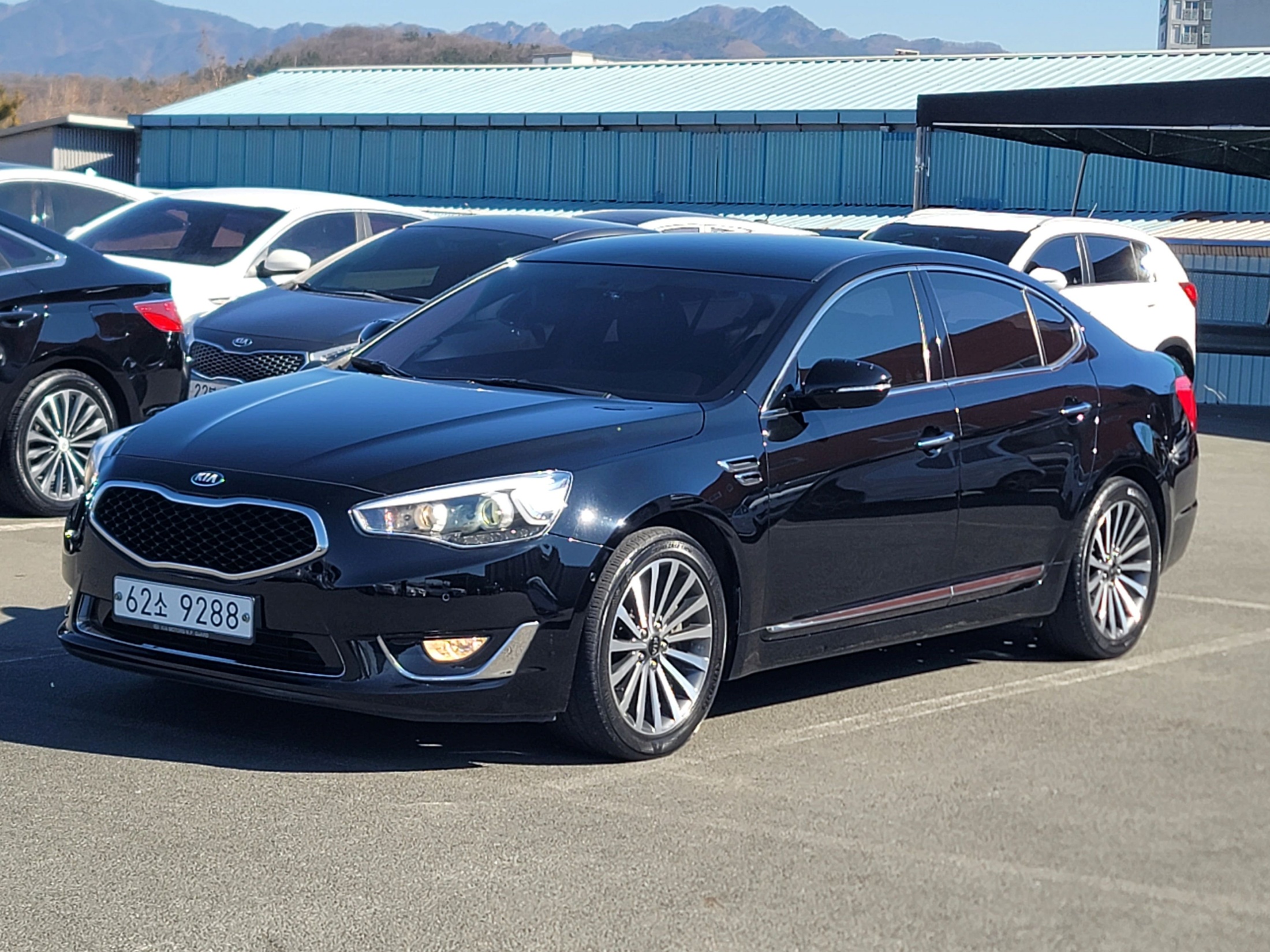 37ba9318dd9e4c380c362181730ac73a_1771808833_2348.jpg 37ba9318dd9e4c380c362181730ac73a_1771808833_2348.jpg