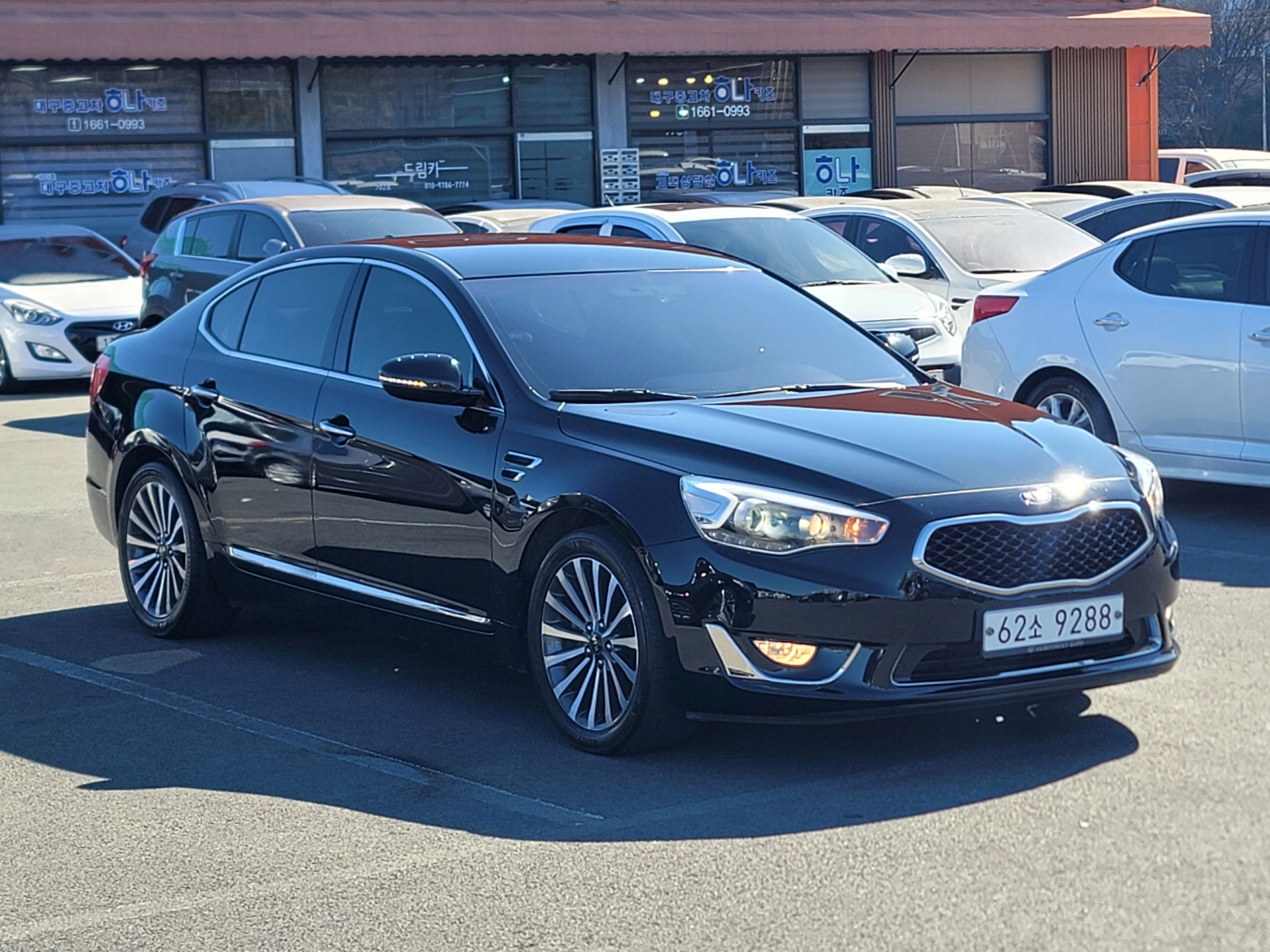 37ba9318dd9e4c380c362181730ac73a_1771808834_4657.jpg 37ba9318dd9e4c380c362181730ac73a_1771808834_4657.jpg