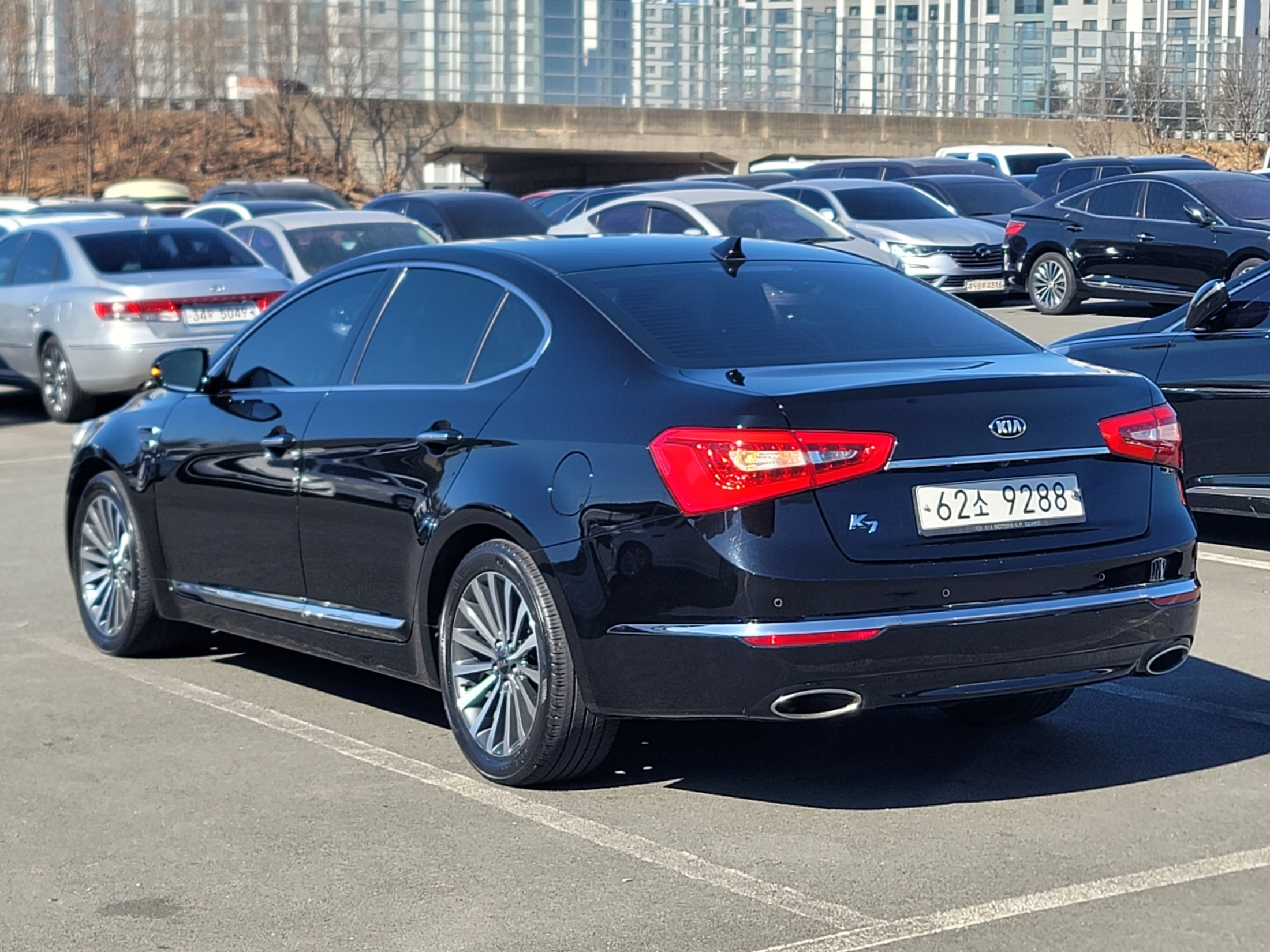 37ba9318dd9e4c380c362181730ac73a_1771808835_5493.jpg 37ba9318dd9e4c380c362181730ac73a_1771808835_5493.jpg