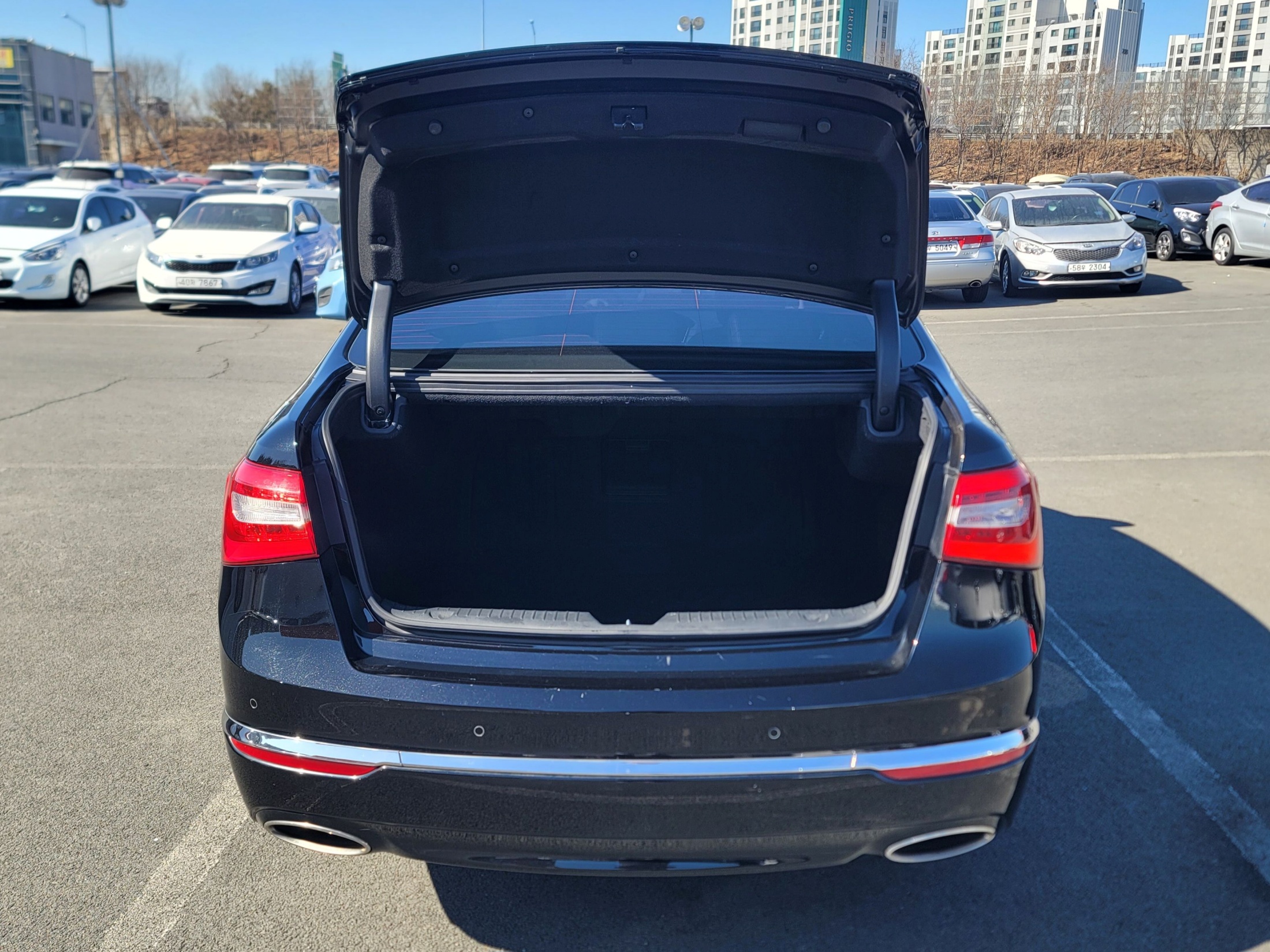 37ba9318dd9e4c380c362181730ac73a_1771808835_731.jpg 37ba9318dd9e4c380c362181730ac73a_1771808835_731.jpg