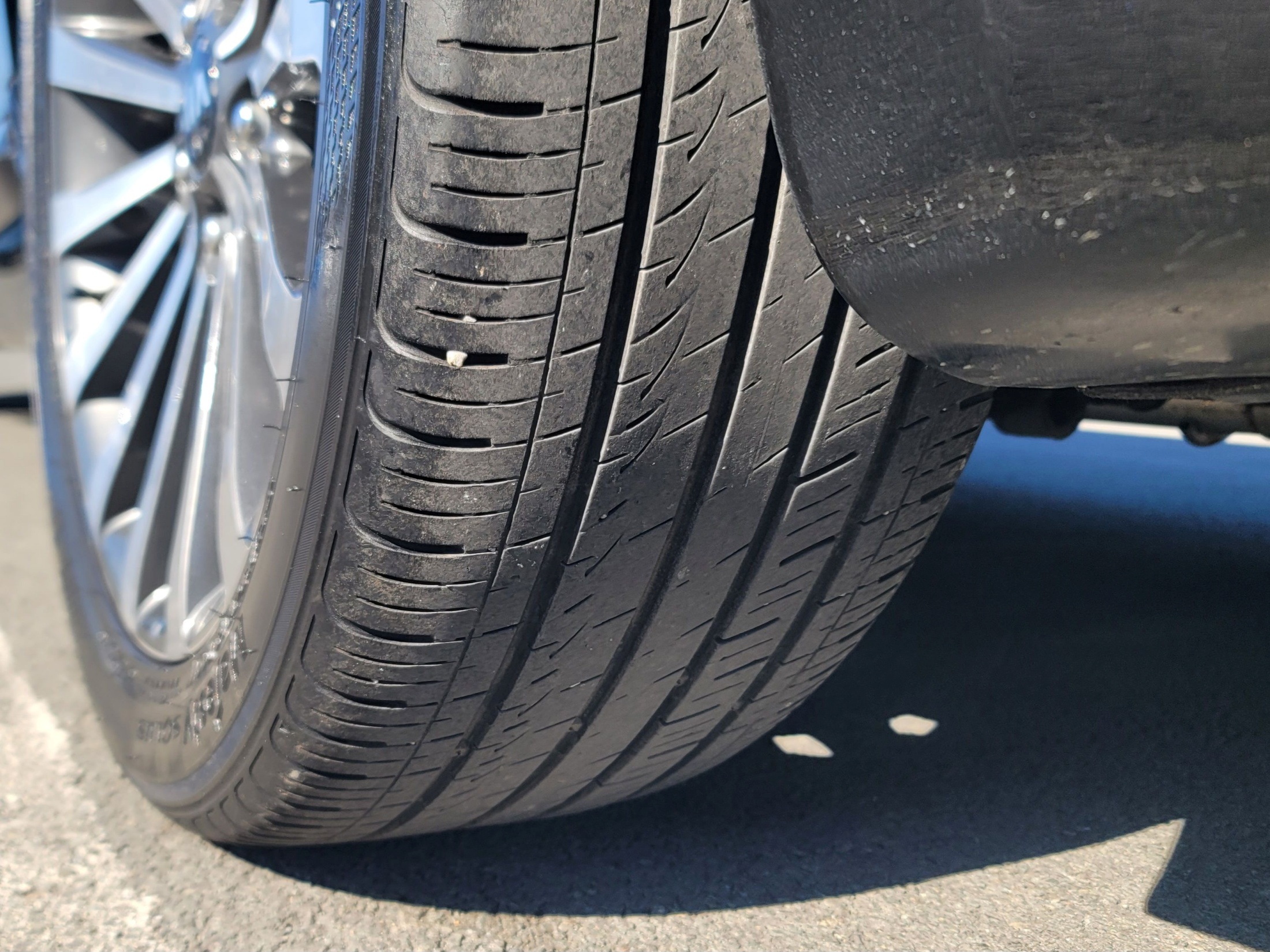 37ba9318dd9e4c380c362181730ac73a_1771808913_6538.jpg 37ba9318dd9e4c380c362181730ac73a_1771808913_6538.jpg