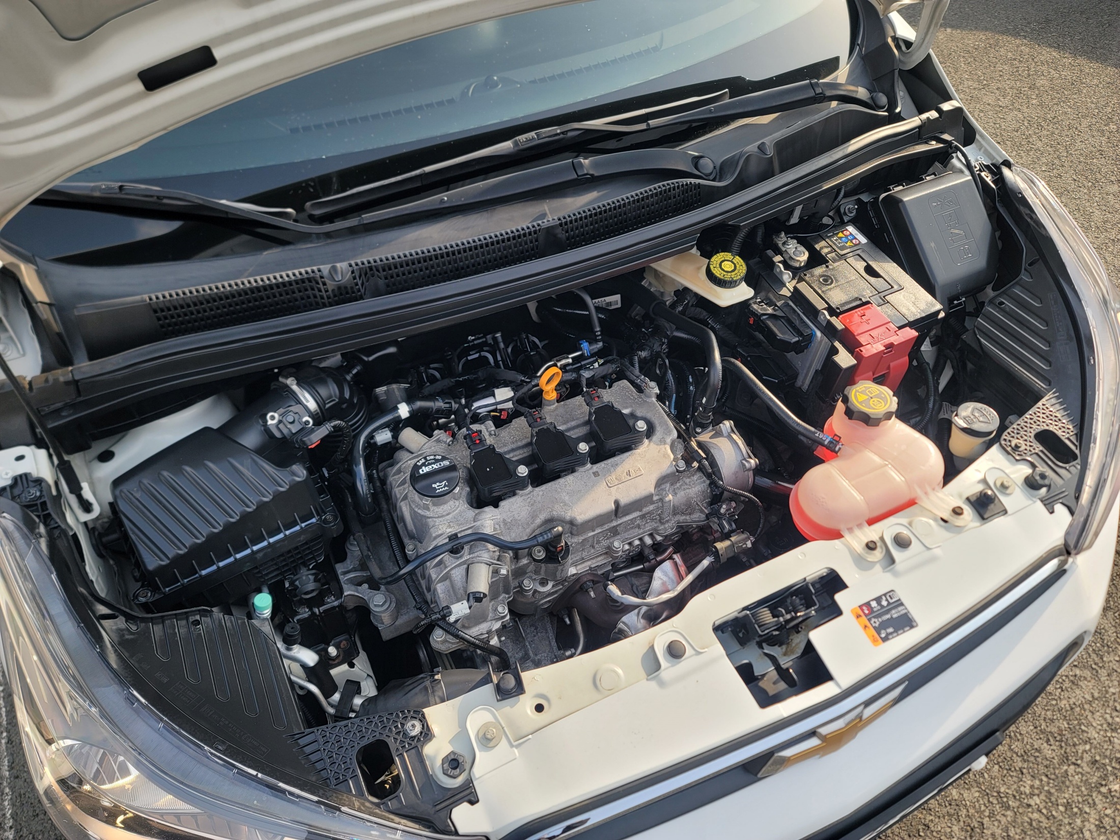 3a196e6205c085493d9f61bf5805a8aa_1770005565_8832.jpg 3a196e6205c085493d9f61bf5805a8aa_1770005565_8832.jpg