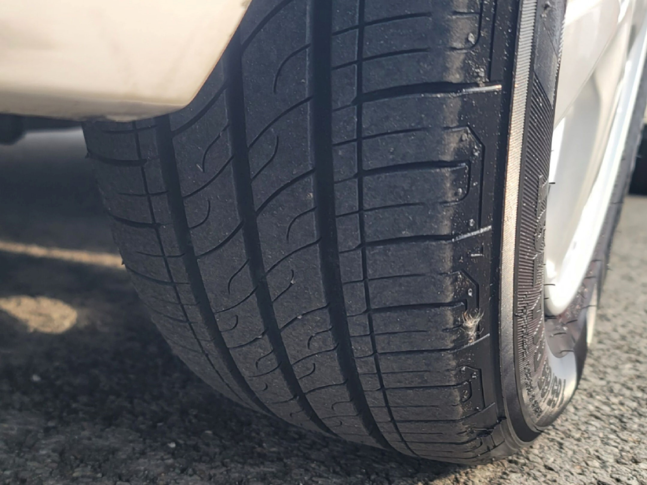 3a196e6205c085493d9f61bf5805a8aa_1770005566_0259.jpg 3a196e6205c085493d9f61bf5805a8aa_1770005566_0259.jpg