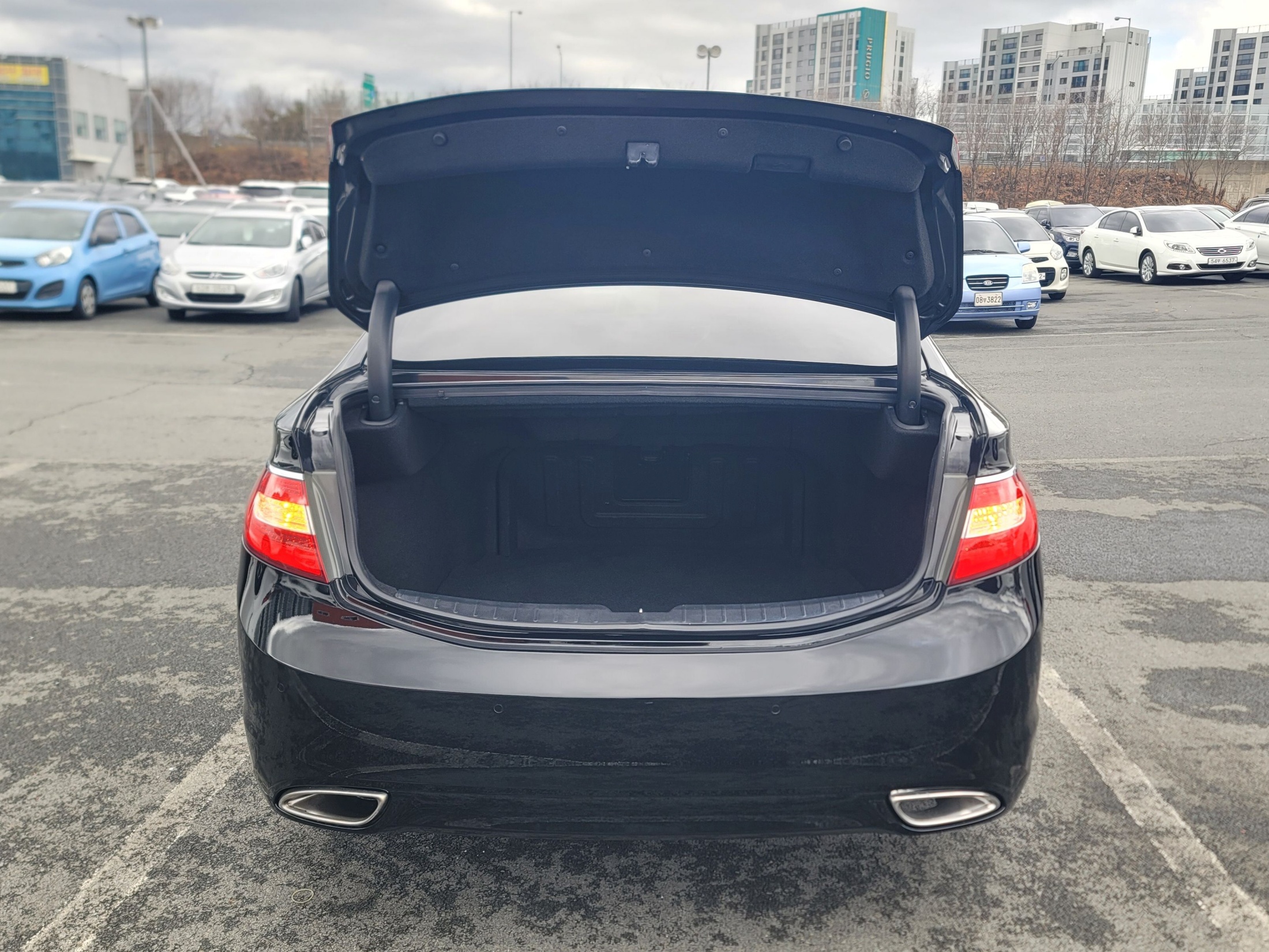 2e7933d0064b36cc6dc6b347a862a842_1773030298_4179.jpg 2e7933d0064b36cc6dc6b347a862a842_1773030298_4179.jpg