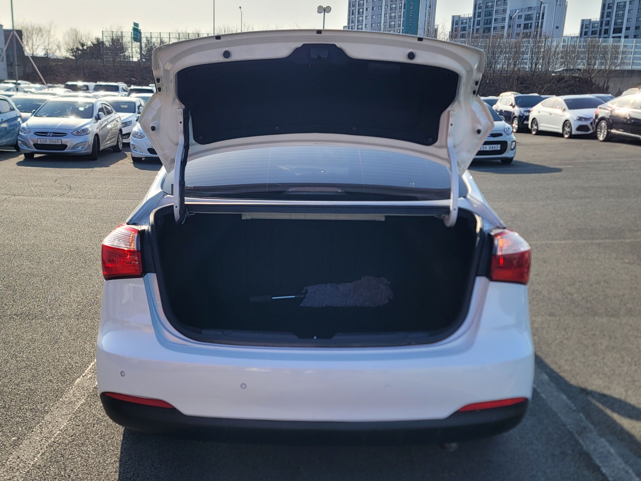 633ed957332c6b3145dc9f8f3721d005_1773111365_1823.jpg 633ed957332c6b3145dc9f8f3721d005_1773111365_1823.jpg