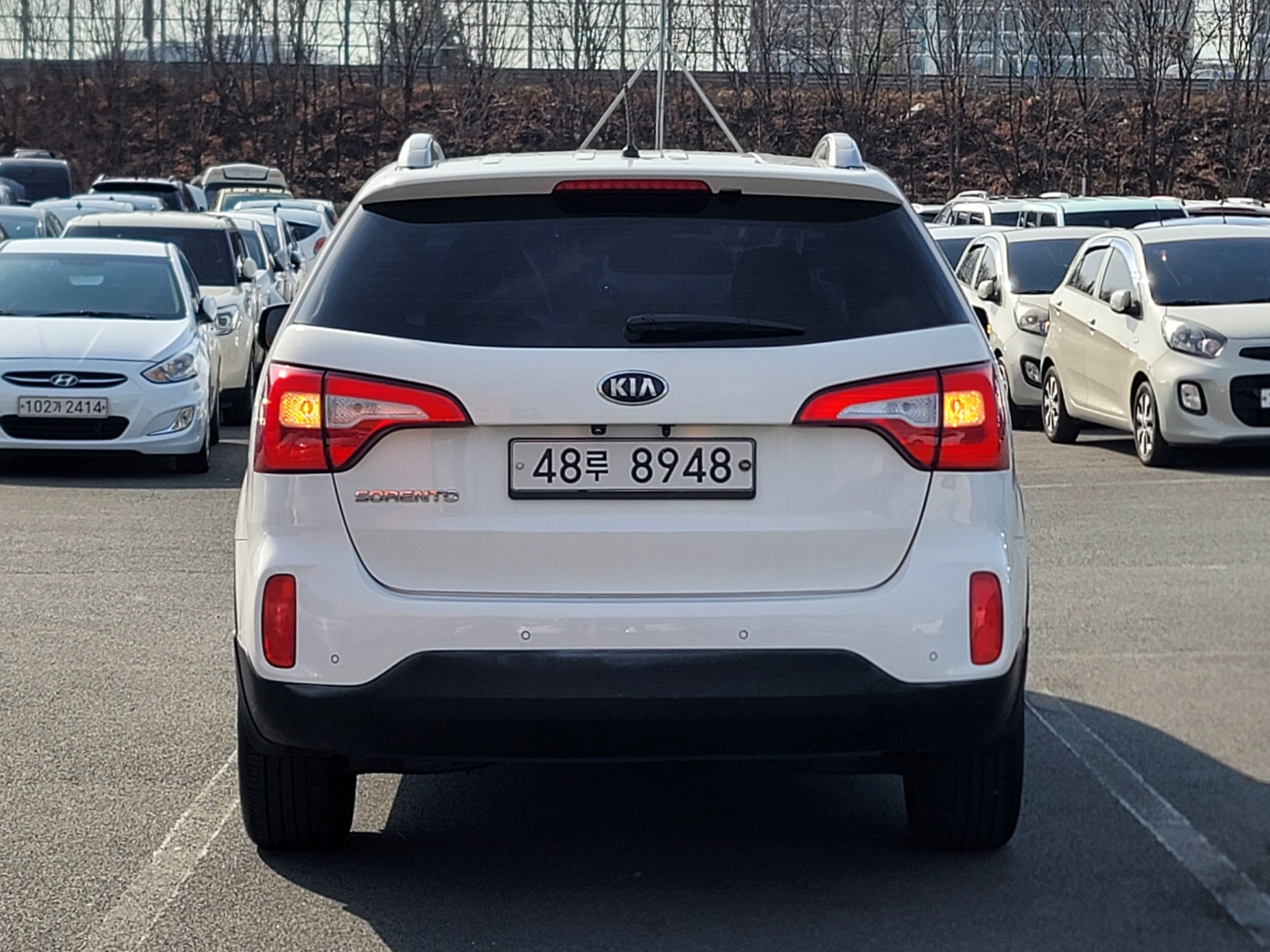 633ed957332c6b3145dc9f8f3721d005_1773111636_3163.jpg 633ed957332c6b3145dc9f8f3721d005_1773111636_3163.jpg