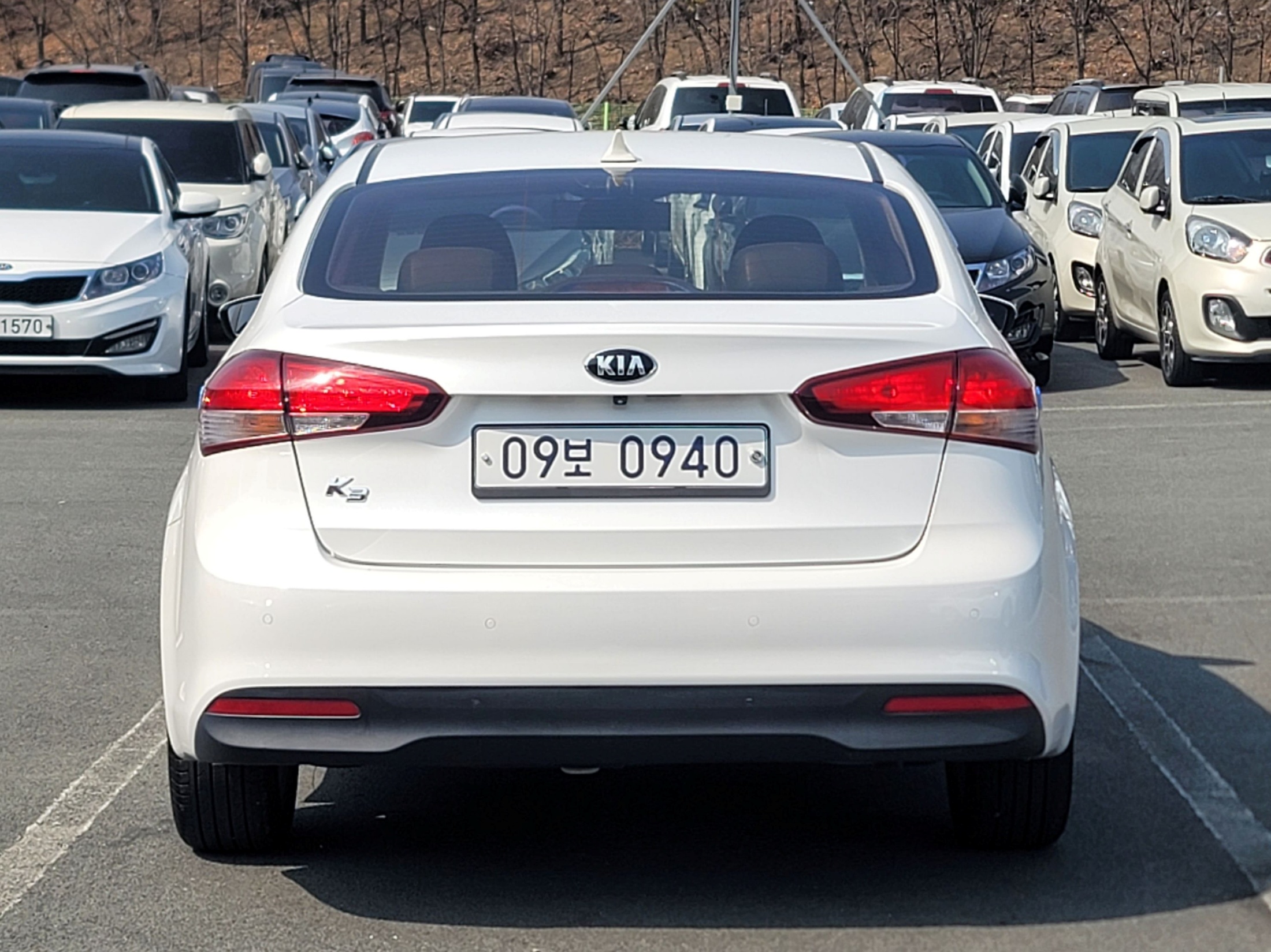 686b55013bfd923e1eba12e2c3266070_1774504030_4341.jpg 686b55013bfd923e1eba12e2c3266070_1774504030_4341.jpg