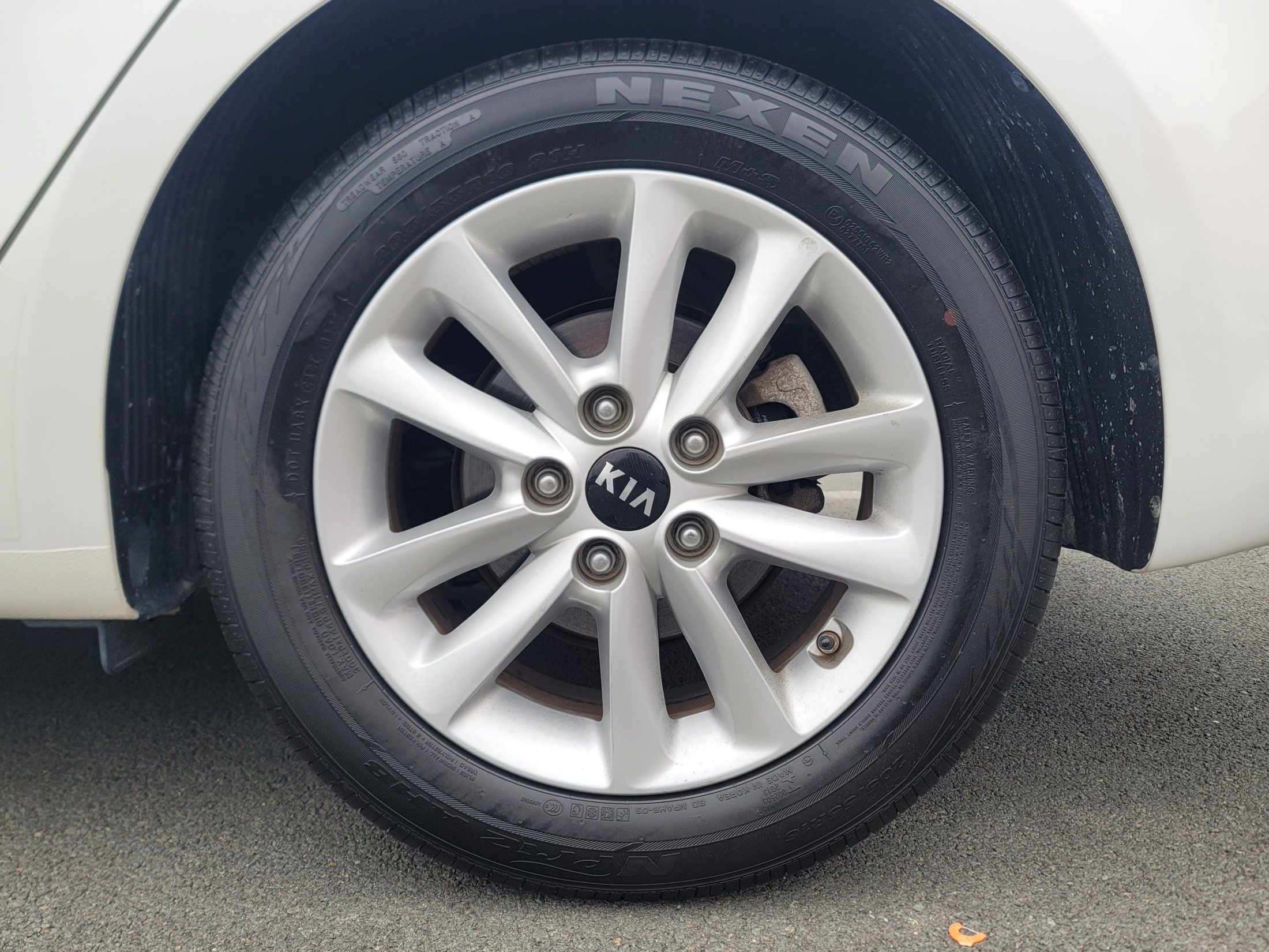 686b55013bfd923e1eba12e2c3266070_1774504097_7111.jpg 686b55013bfd923e1eba12e2c3266070_1774504097_7111.jpg