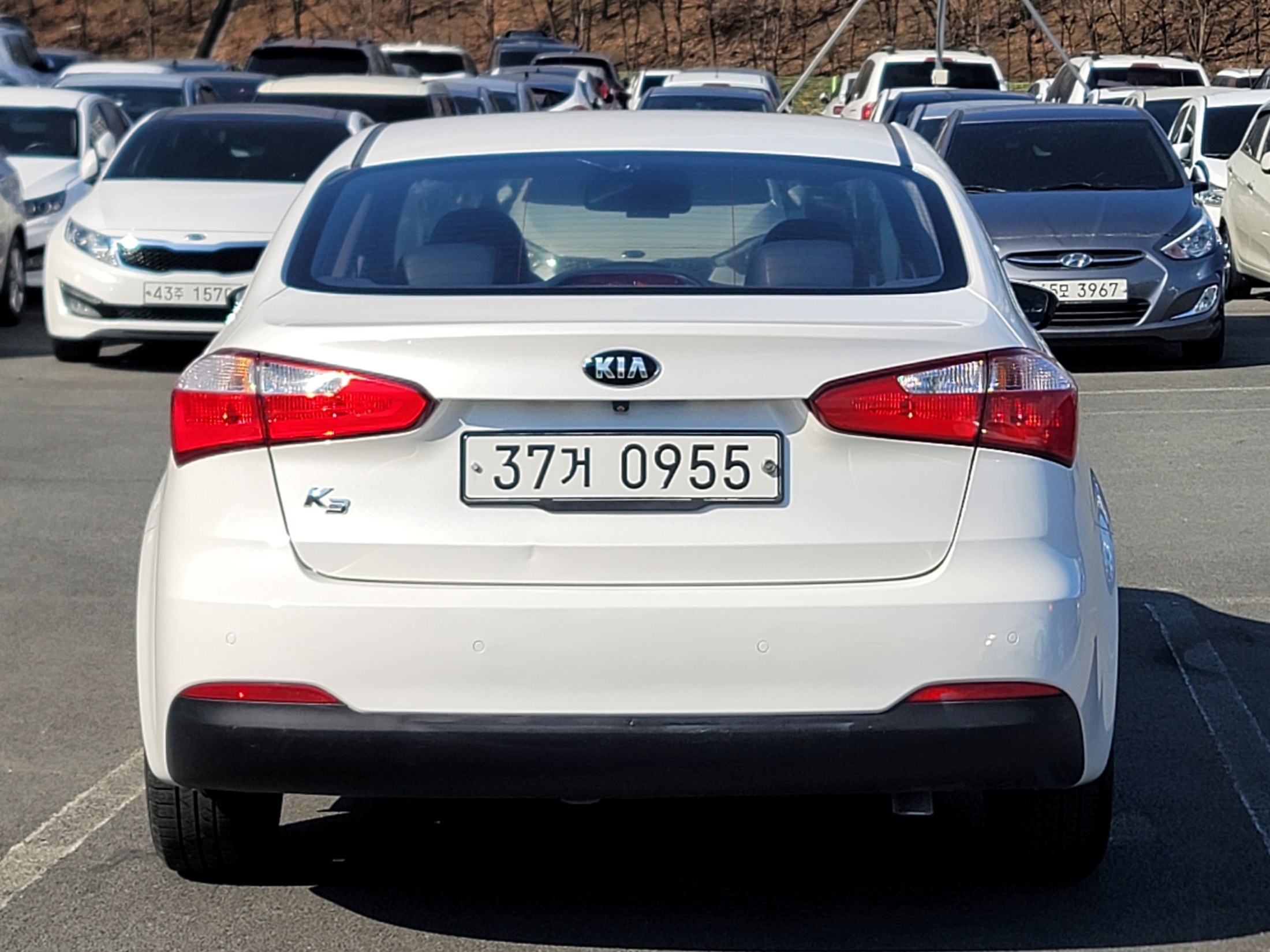 a4e17b2a79c5b6076a7c1e86a5122bce_1774935682_337.jpg a4e17b2a79c5b6076a7c1e86a5122bce_1774935682_337.jpg