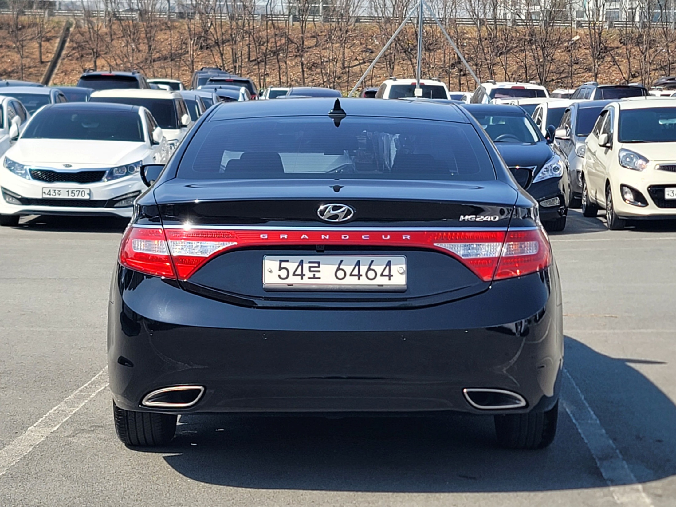 646dd43188f5feb6b2ef5e52e5e1ce0d_1775115003_2207.jpg 646dd43188f5feb6b2ef5e52e5e1ce0d_1775115003_2207.jpg