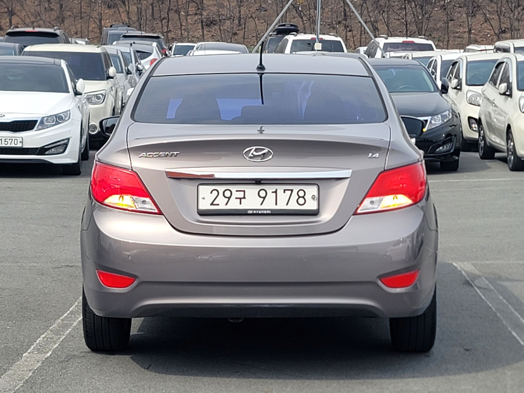 fc42c5b25bd6bbd4e0ab68140d0e39b3_1775456955_4783.jpg fc42c5b25bd6bbd4e0ab68140d0e39b3_1775456955_4783.jpg