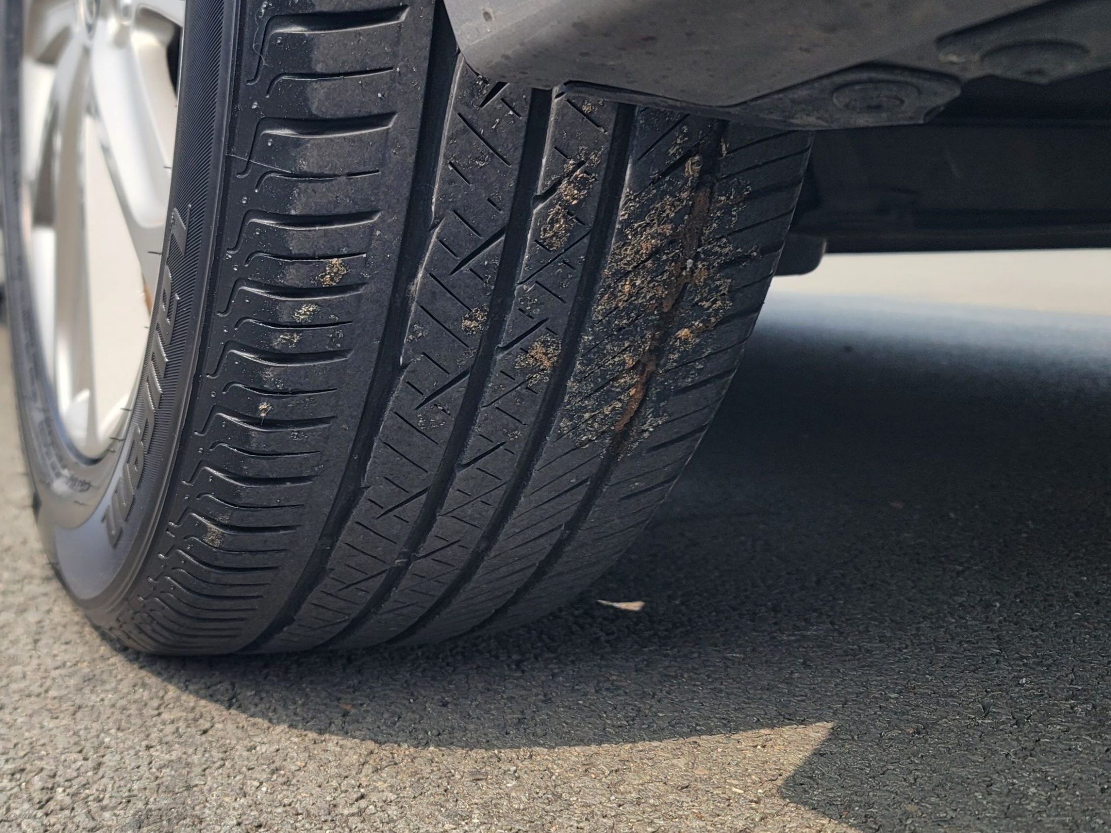 fcc0be0347e5f1b77c885800d4085a94_1775193040_4631.jpg fcc0be0347e5f1b77c885800d4085a94_1775193040_4631.jpg